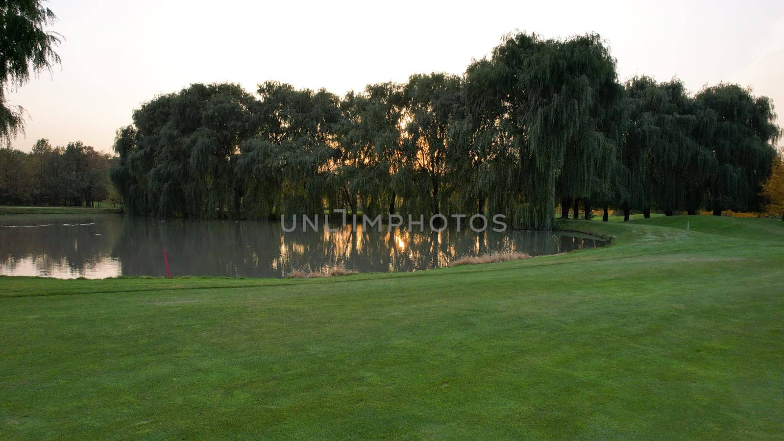 Green golf course with willow and pond views by Passcal