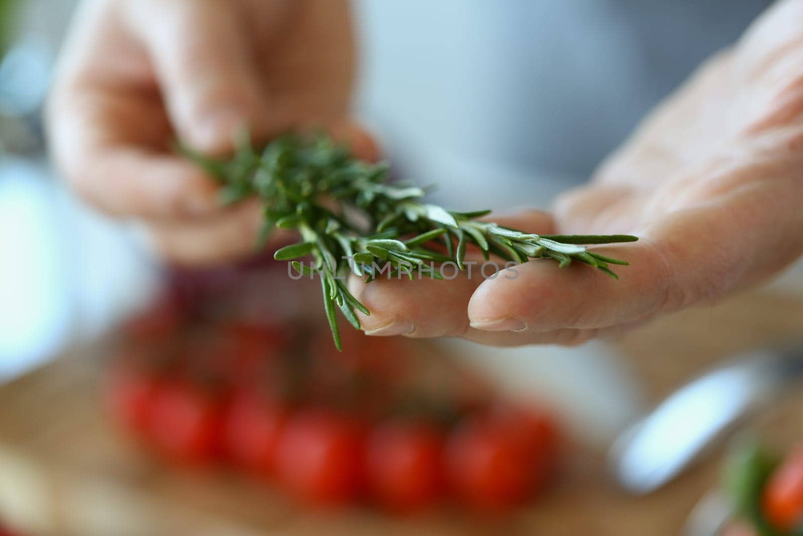 Rosemary herbs in hands of chef in kitchen. Cooking vegetables and healthy herbs for health