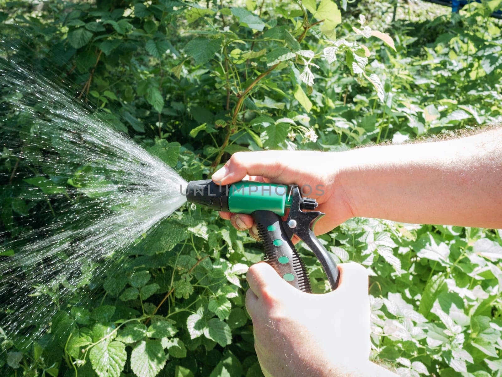 Hairy man's hands holding nozzle of watering hose and watering garden