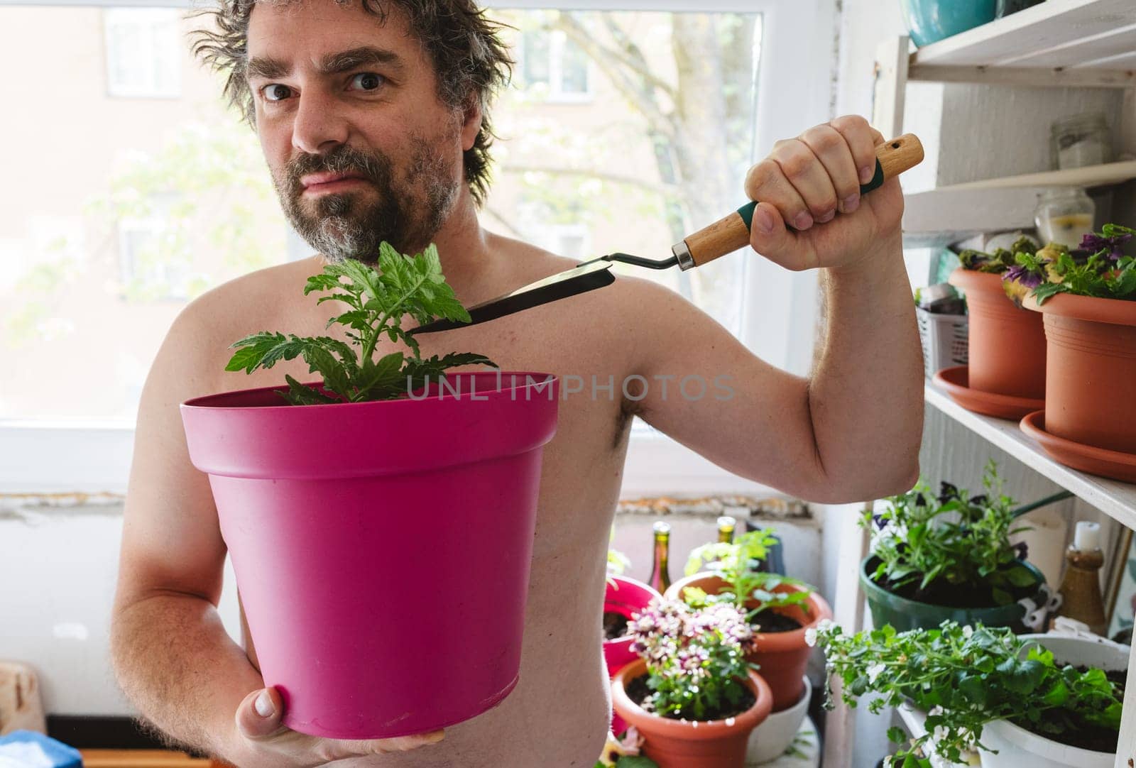 Mature man standing at the balcony naked with pink flower pot and digging garden tool. High quality photo
