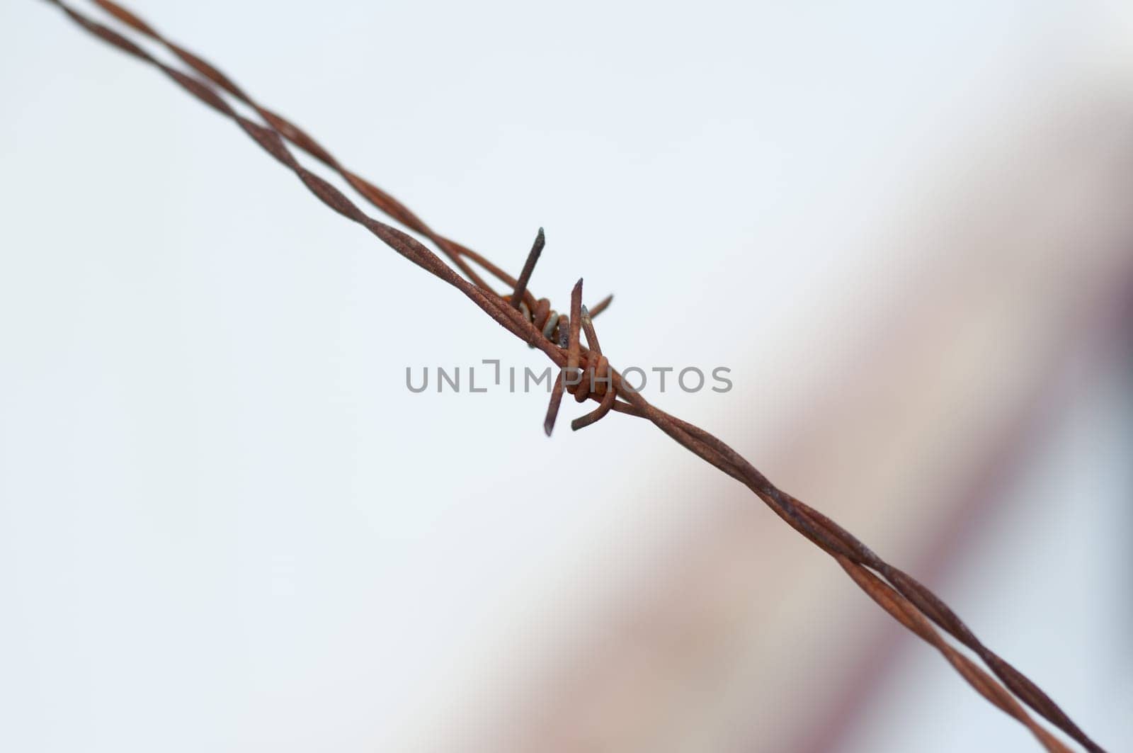 closeup of a steel barbed wire from a prison by Raulmartin