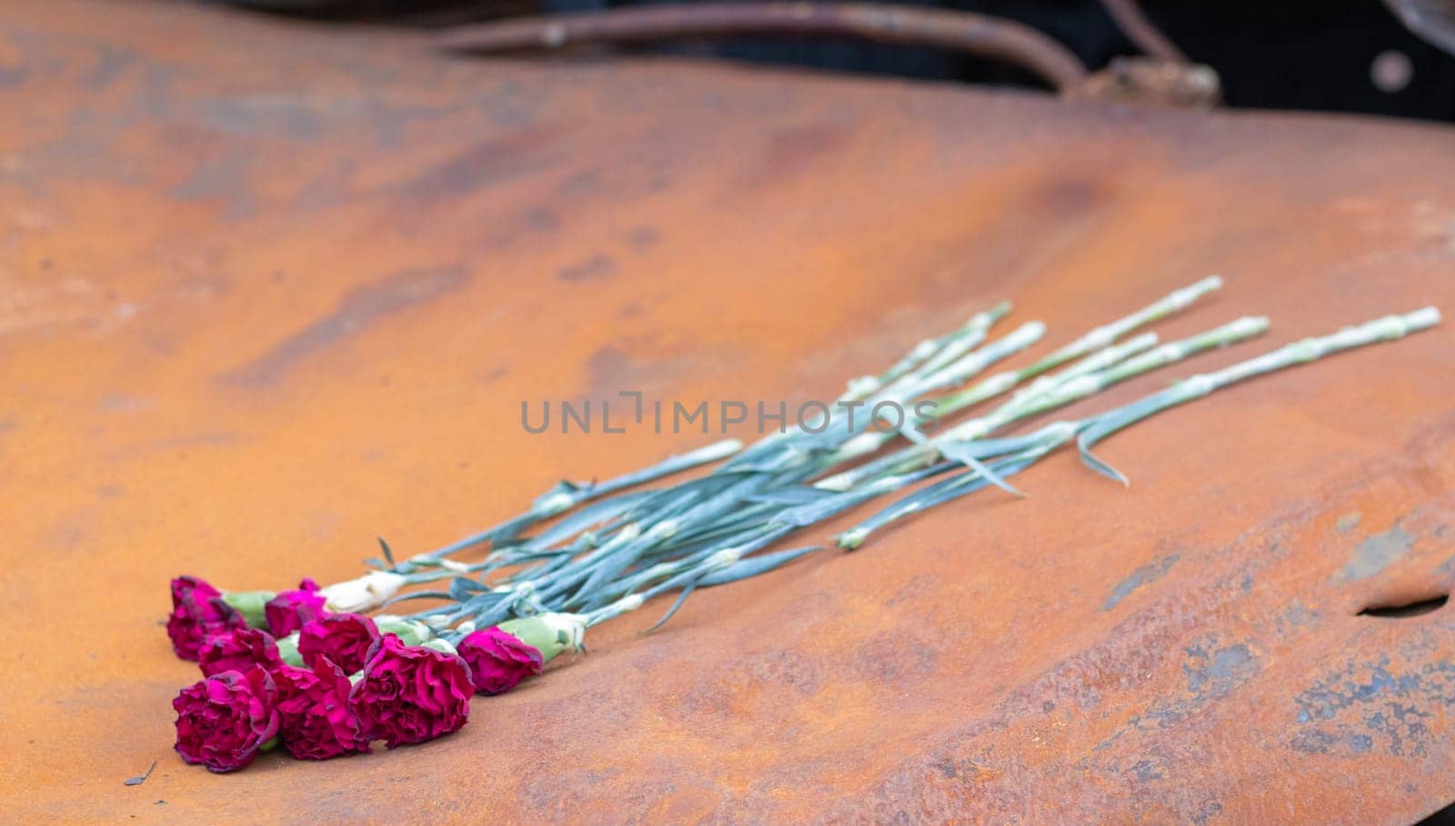 Red carnation flowers or peonies at the site of a fatal car accident. Tragedy and grief over the loss of a person. Memory. Paying tribute. Tragedy and sadness about the loss of a loved one