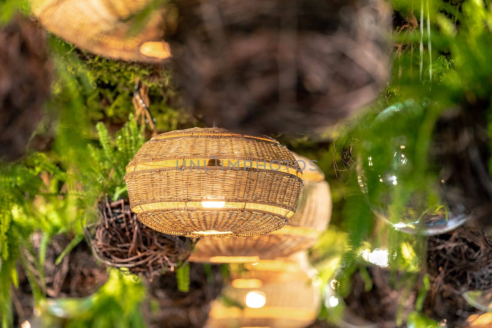 light in the ceiling from plants. High quality photo