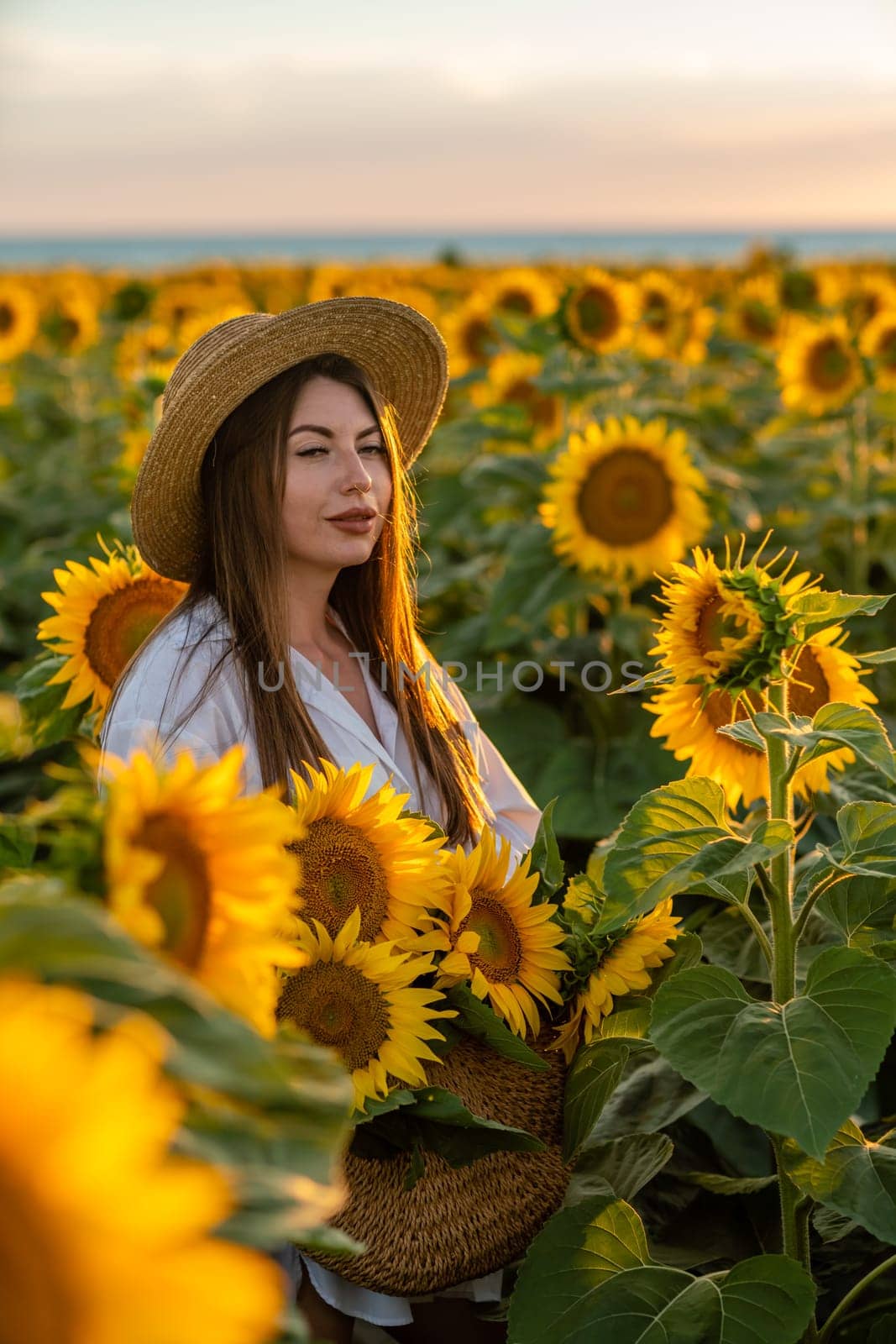 A girl in a hat on a beautiful field of sunflowers against the sky in the evening light of a summer sunset. Sunbeams through the flower field. Natural background