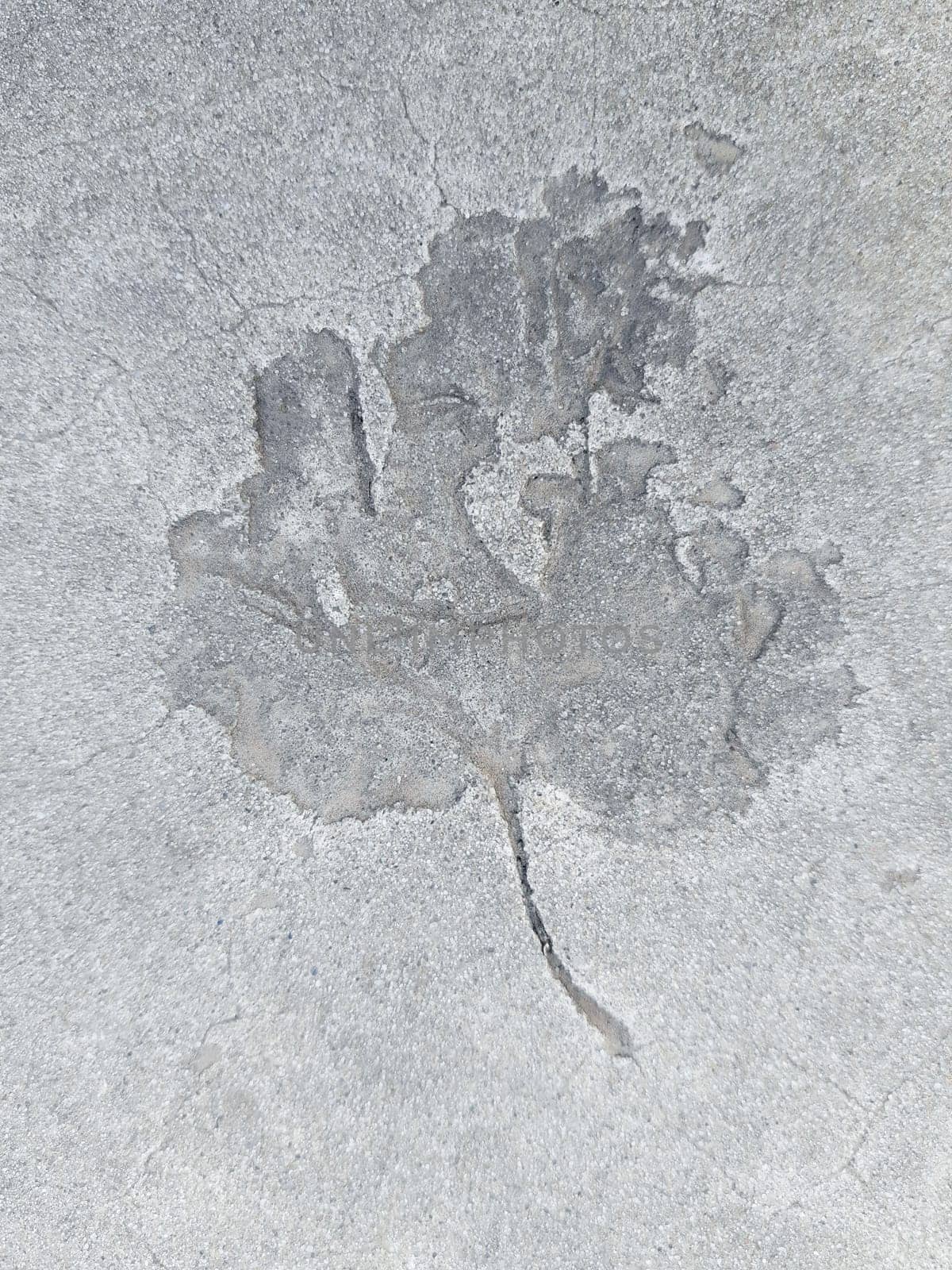 The imprint of a fallen autumn leaf on gray dry concrete close-up.