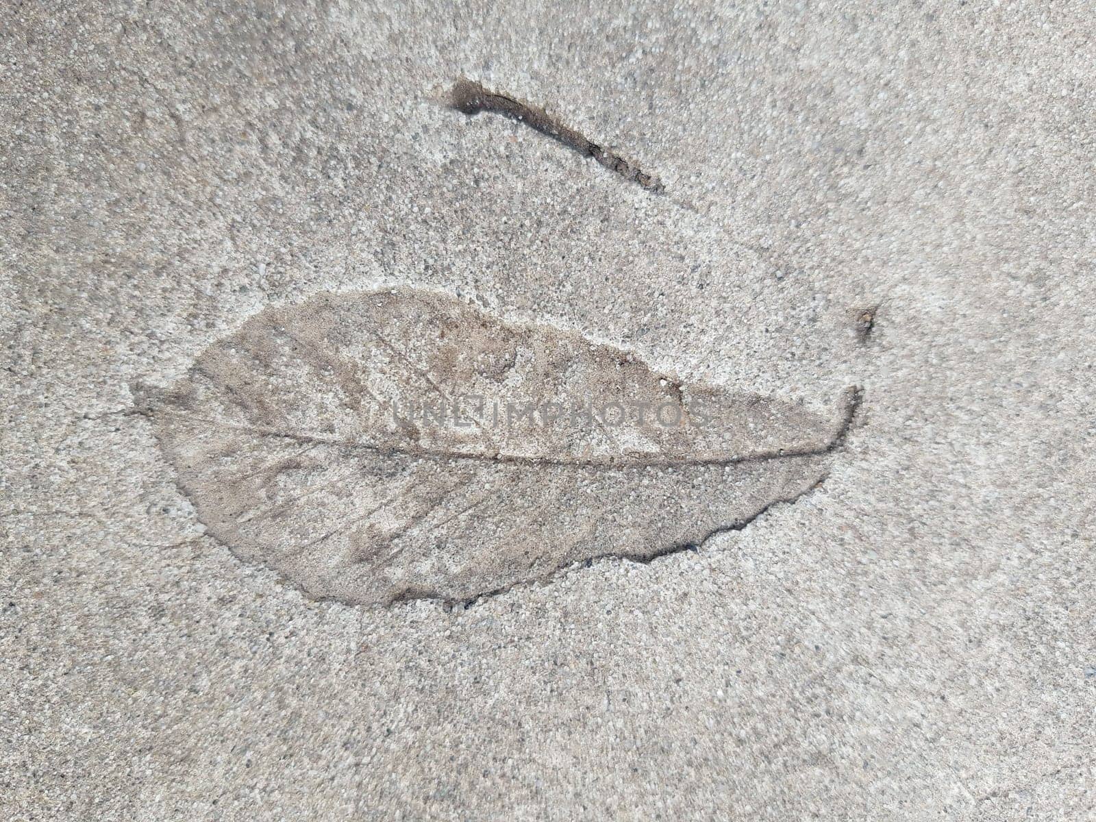 The imprint of a fallen autumn leaf on gray dry concrete close-up.