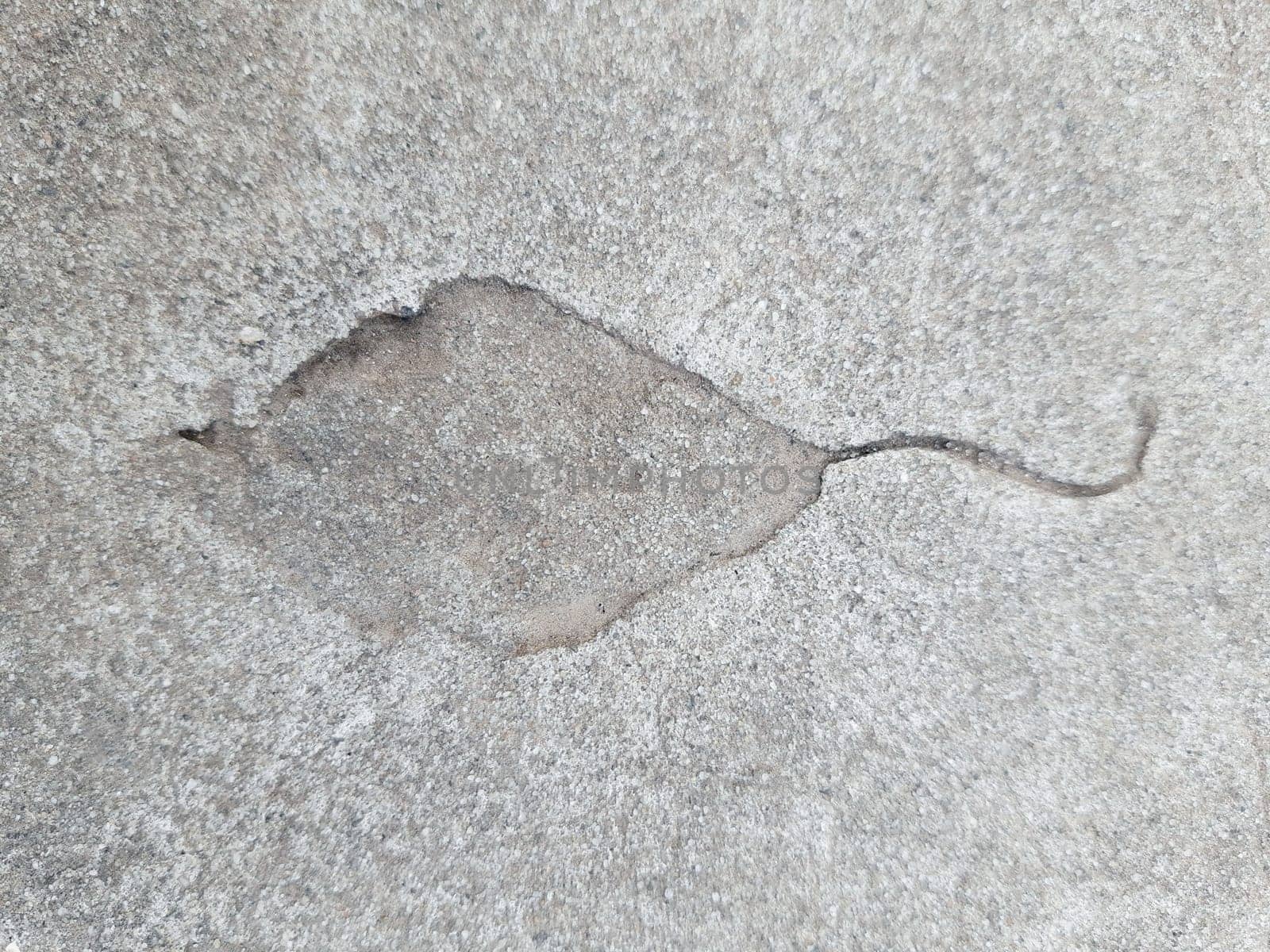 The imprint of a fallen autumn leaf on concrete by Endusik