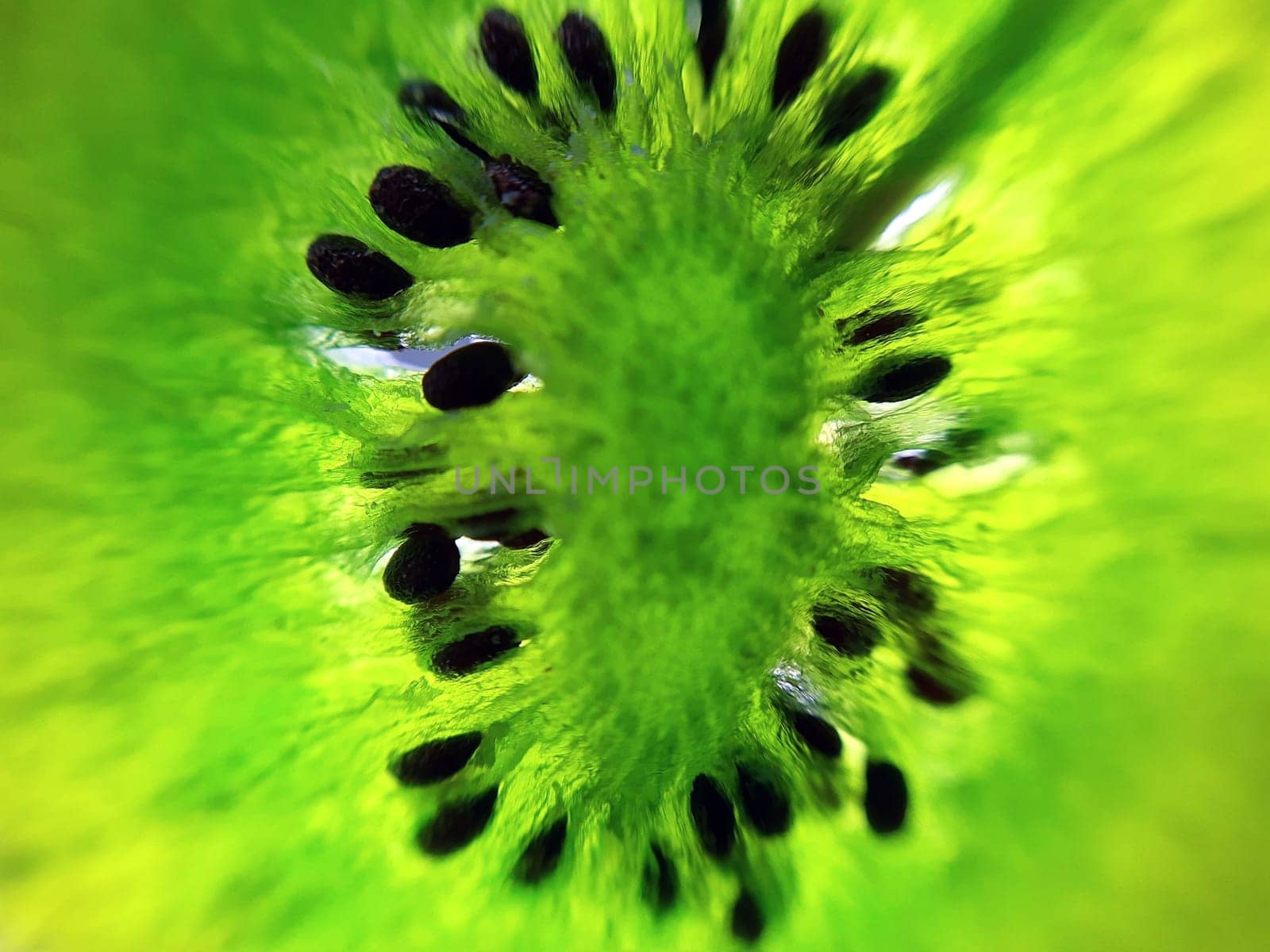 Kiwi cut macro by Endusik