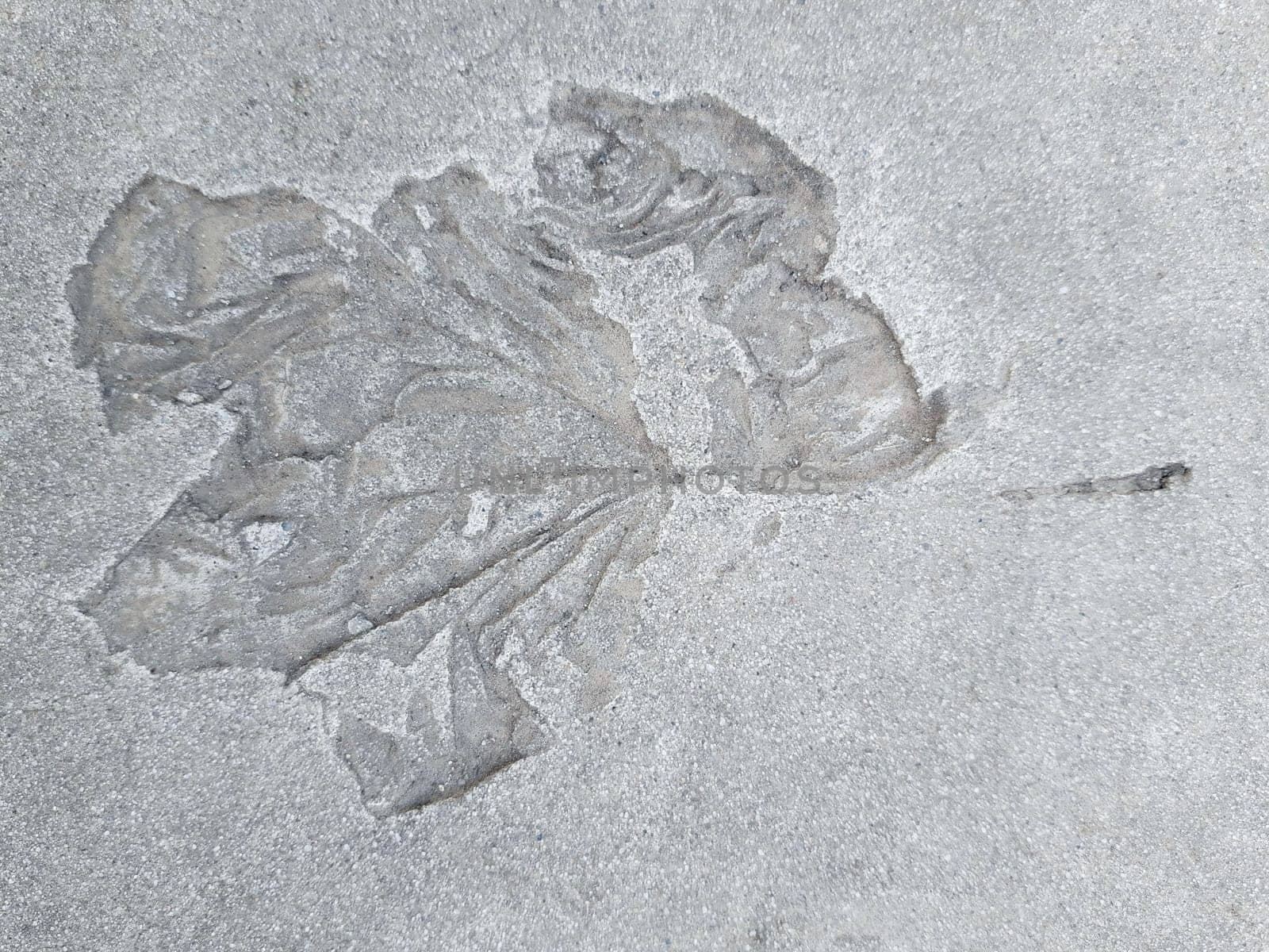 The imprint of a fallen autumn leaf on gray dry concrete close-up.