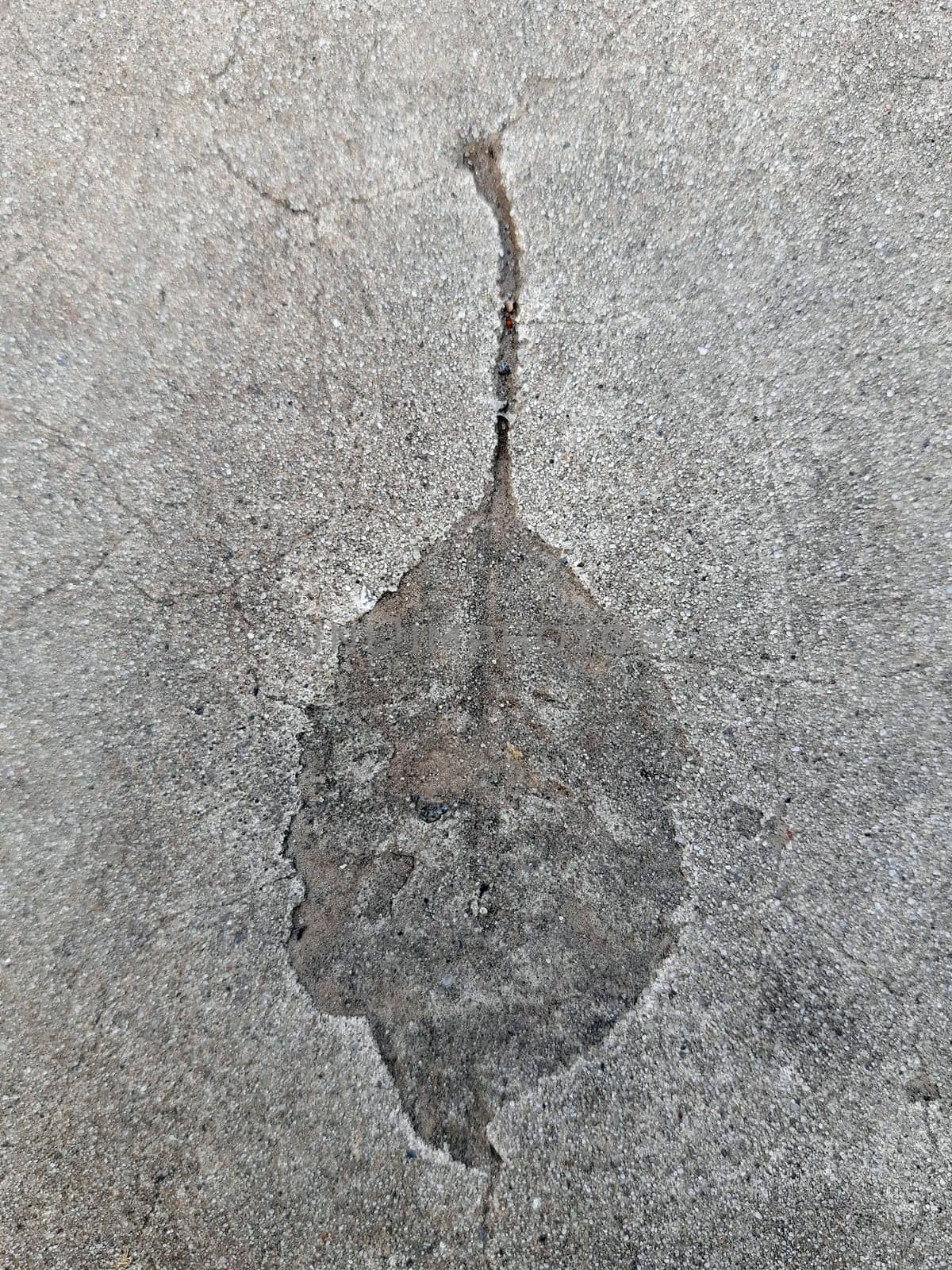 The imprint of a fallen autumn leaf on gray dry concrete close-up.