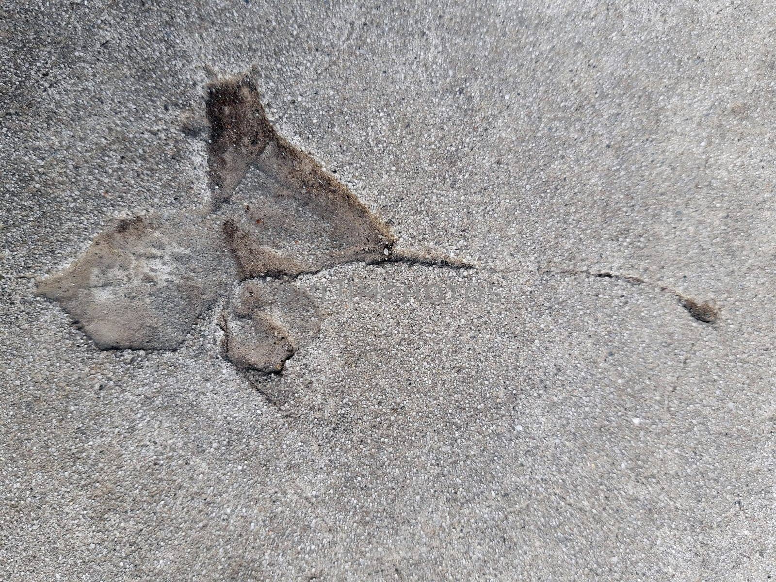 The imprint of a fallen autumn leaf on gray dry concrete close-up.