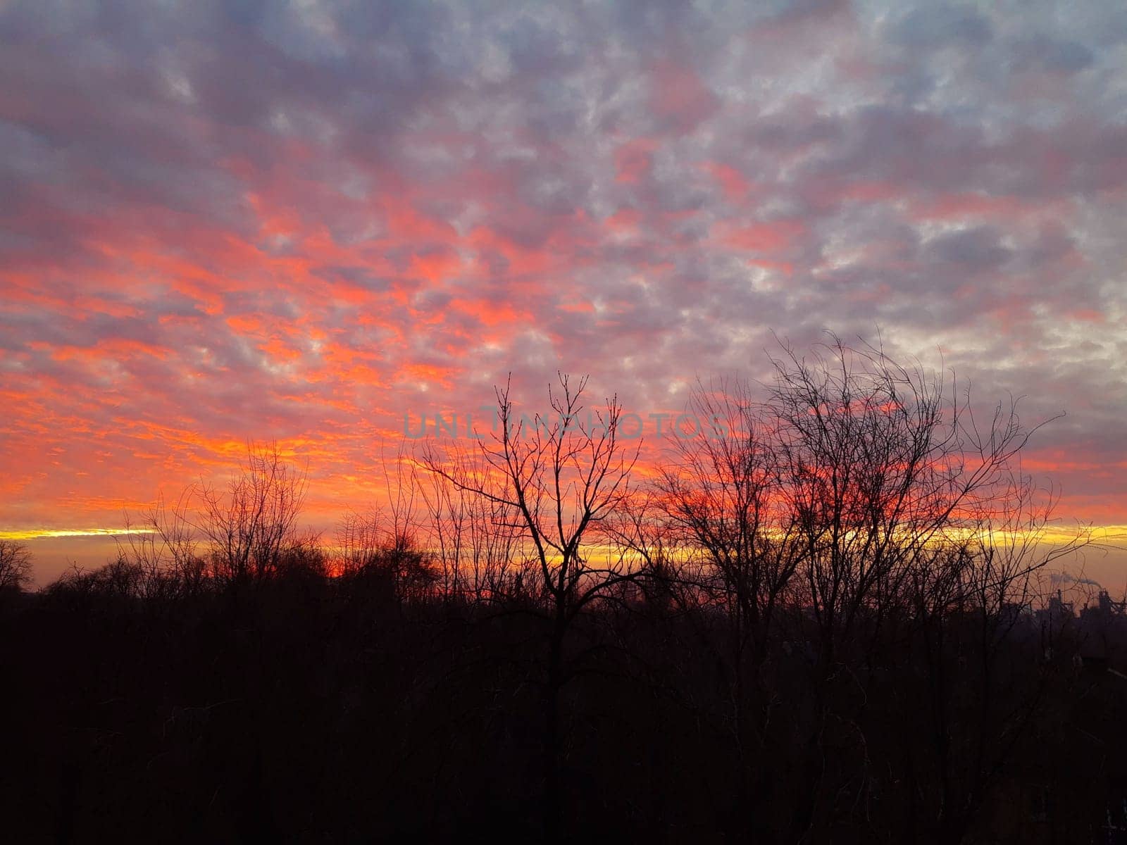 Red dawn in the city on a winter morning.