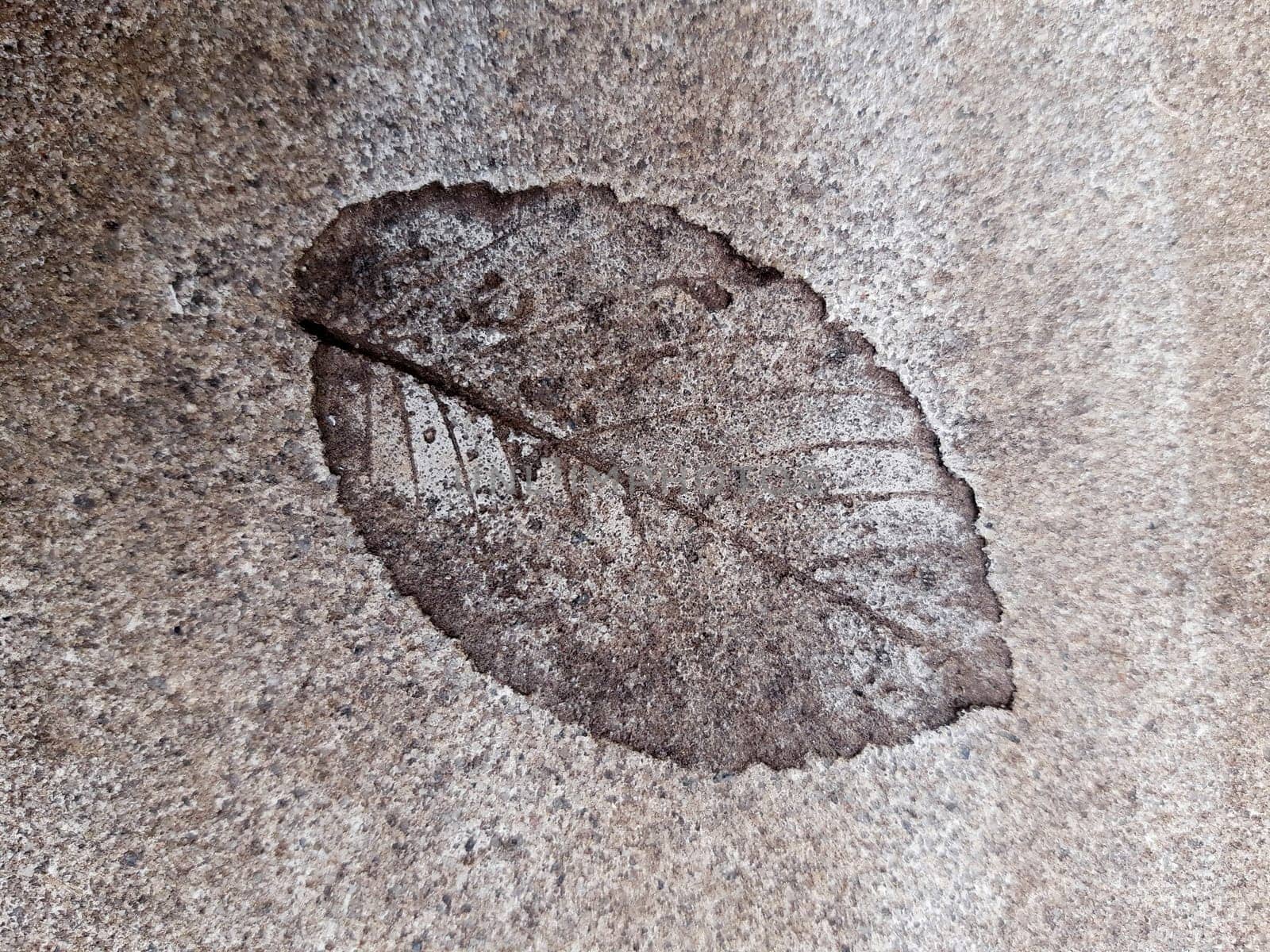 The imprint of a fallen autumn leaf on concrete close-up.