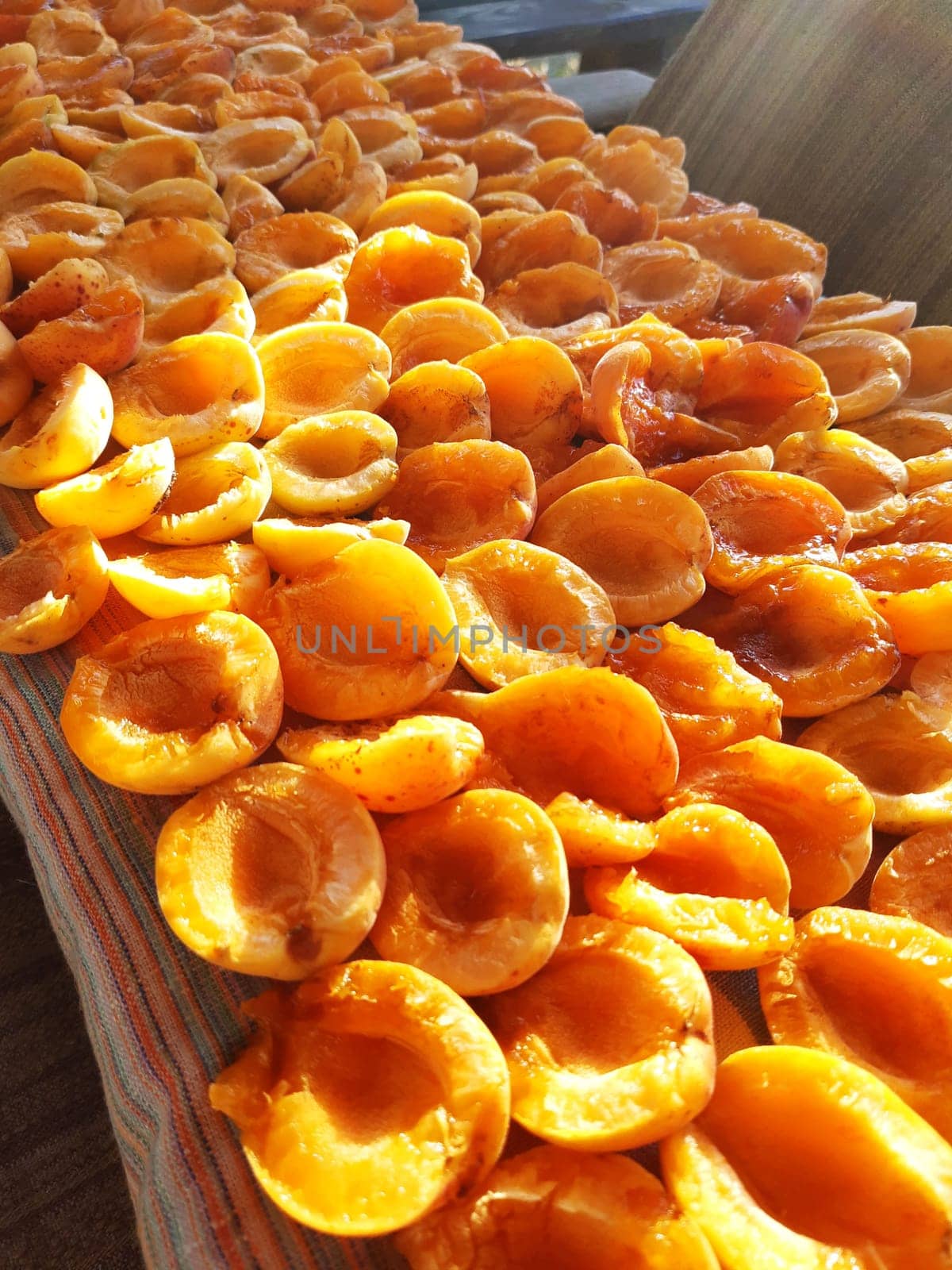 Juicy yellow-orange apricot slices lie in the sun close-up.