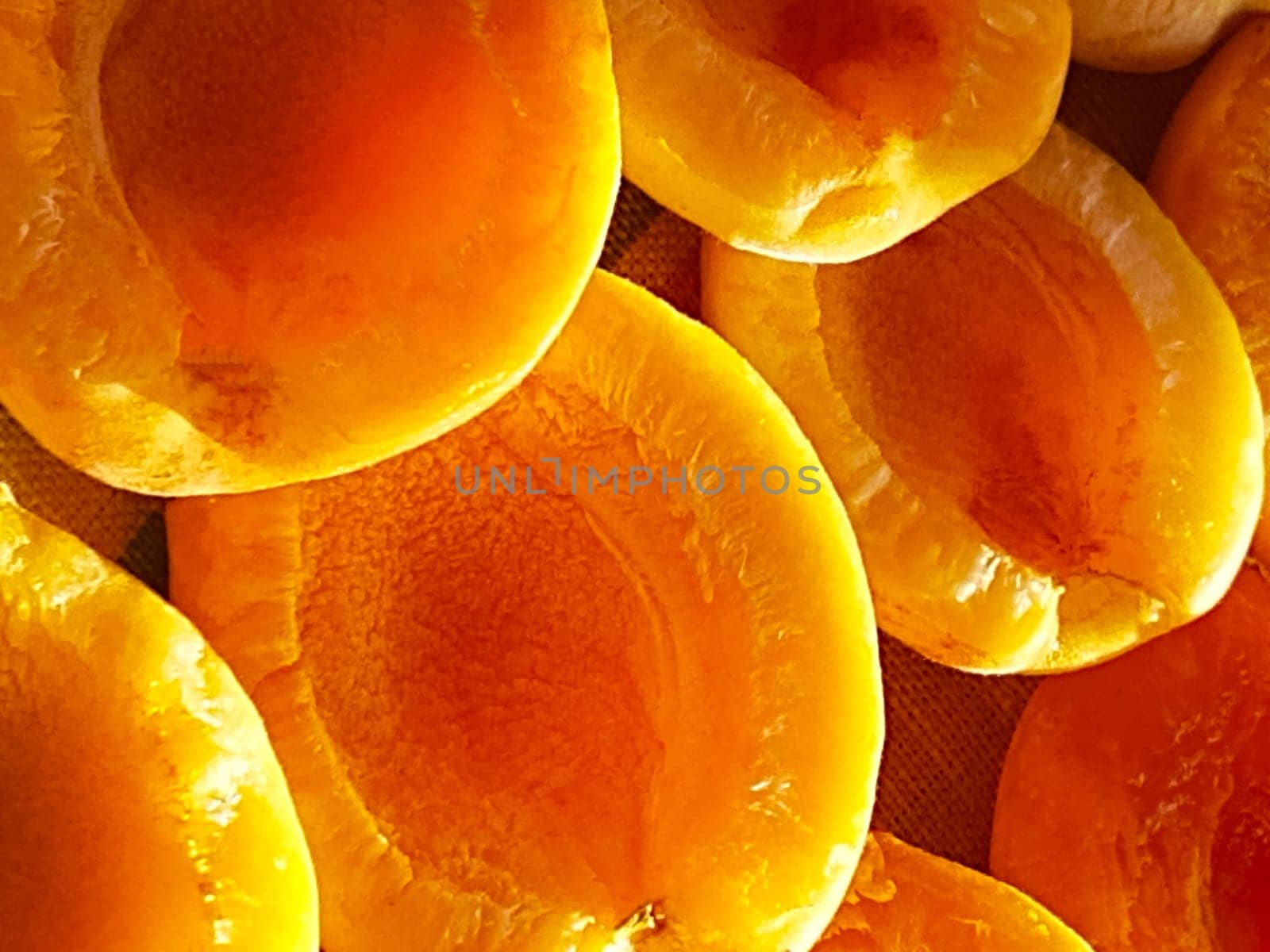 Juicy yellow-orange apricot slices lie in the sun close-up.