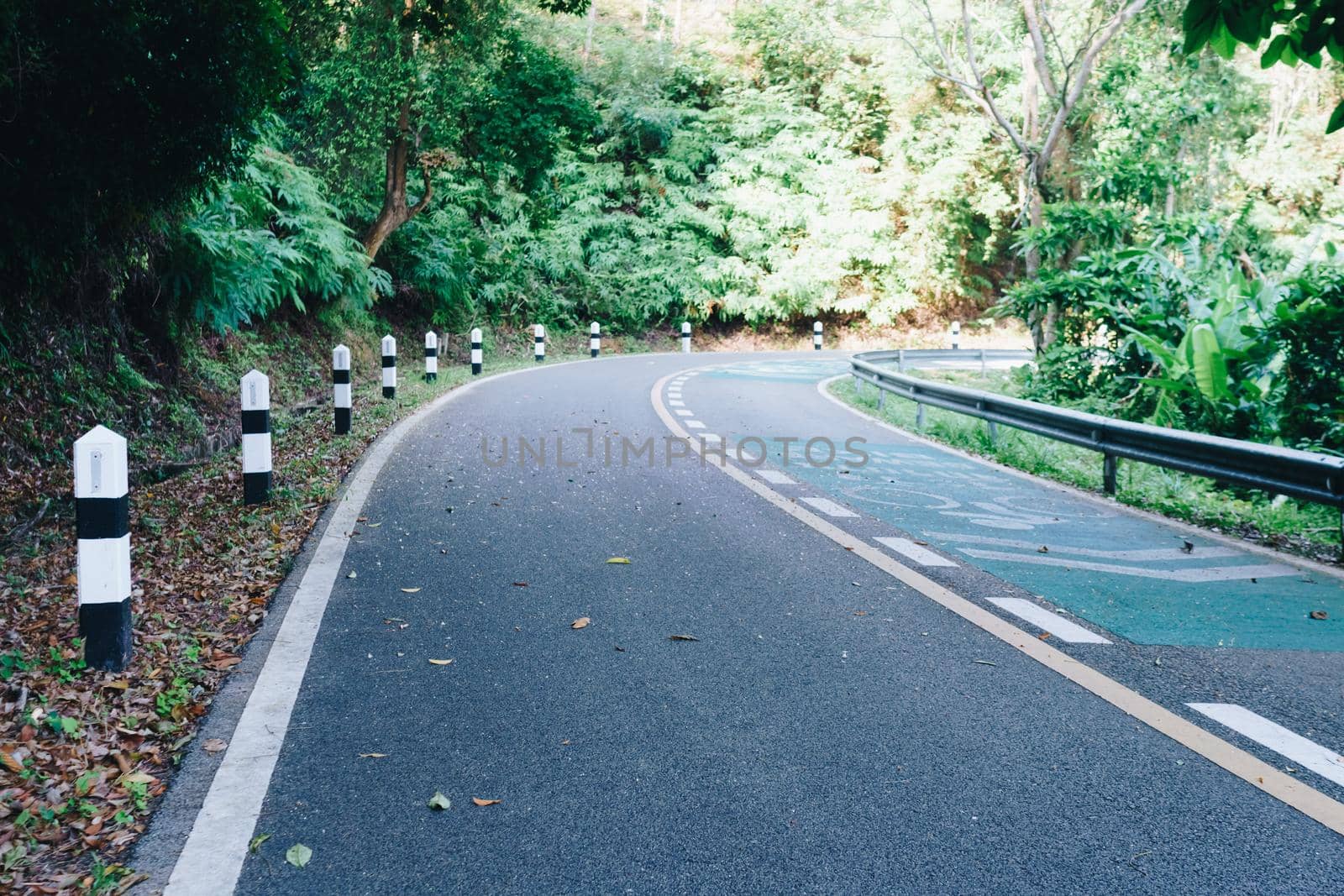 Road with bicycle lane in the country with nature surrounding. by Suwant