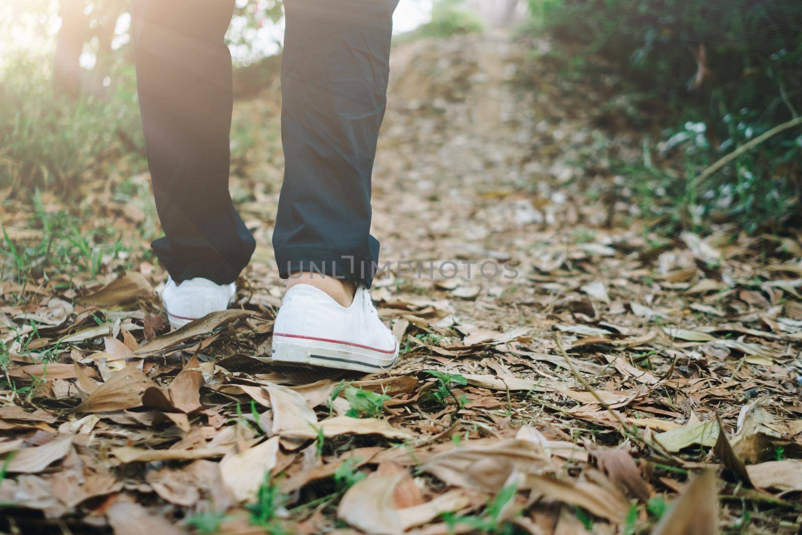 Man is walking into the wood or jungle nature walk way with sunlight.Slow life lifestyle and exercise.