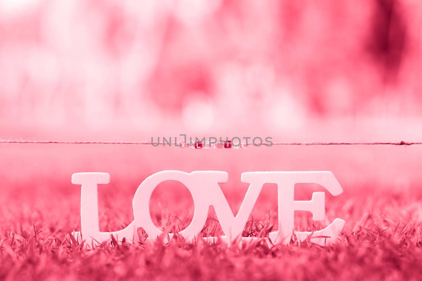 LOVE text, valentines day background romantic moment in nature