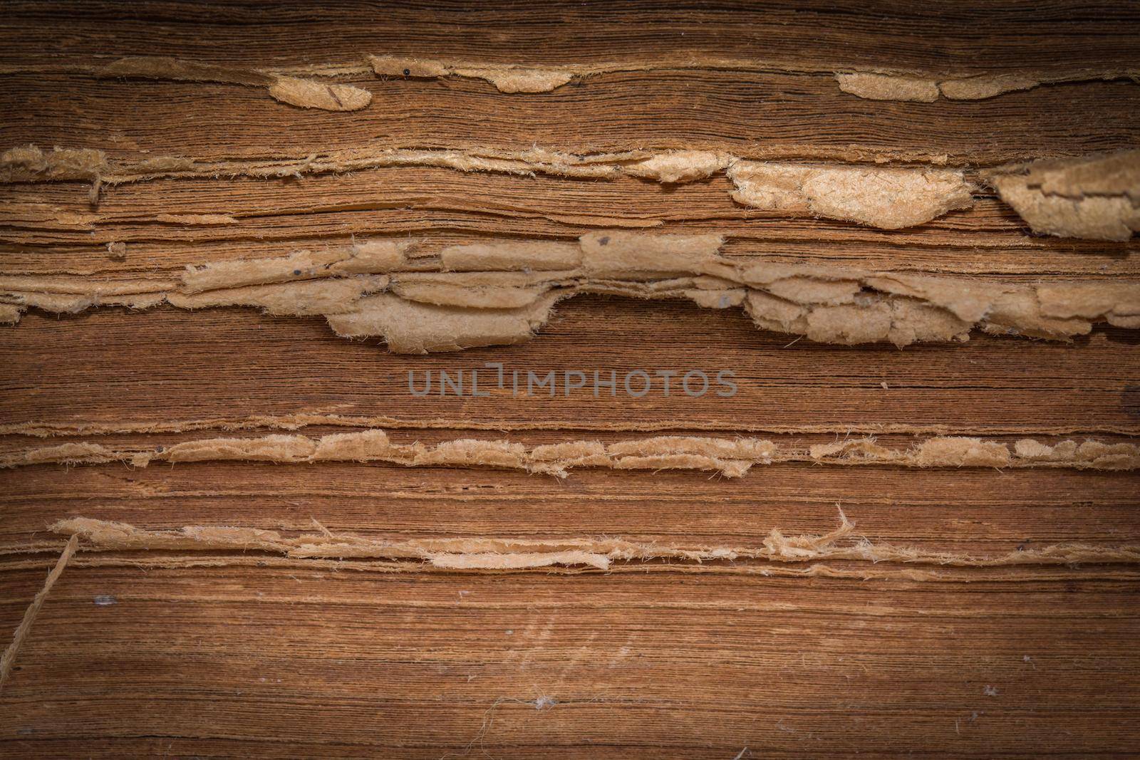 Paper stack old brown texture for background
