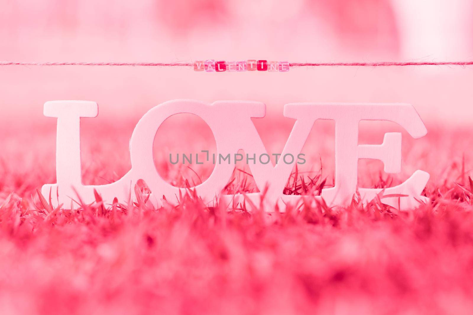 LOVE text, valentines day background romantic moment in nature
