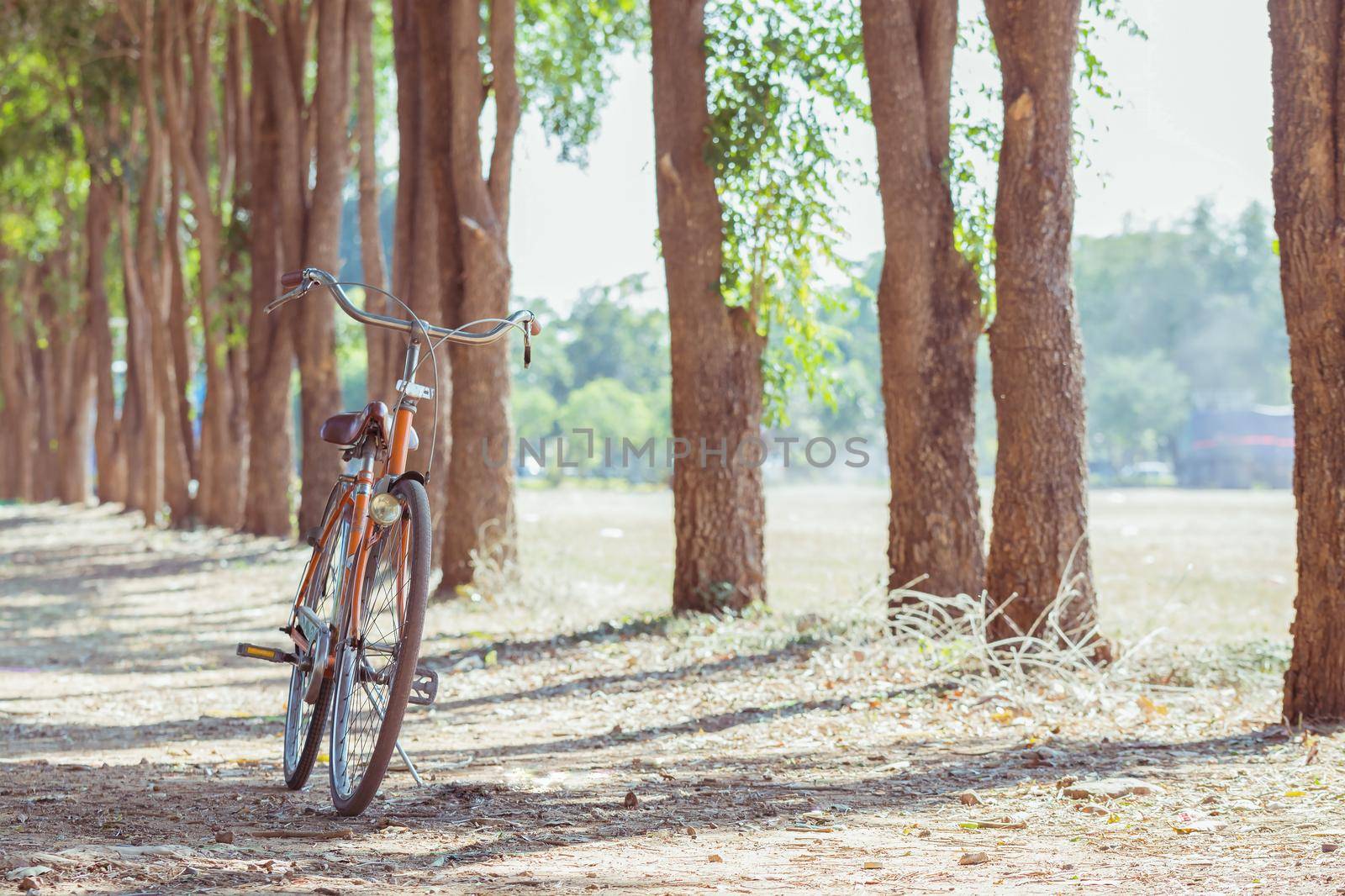 Bicycle in landscape