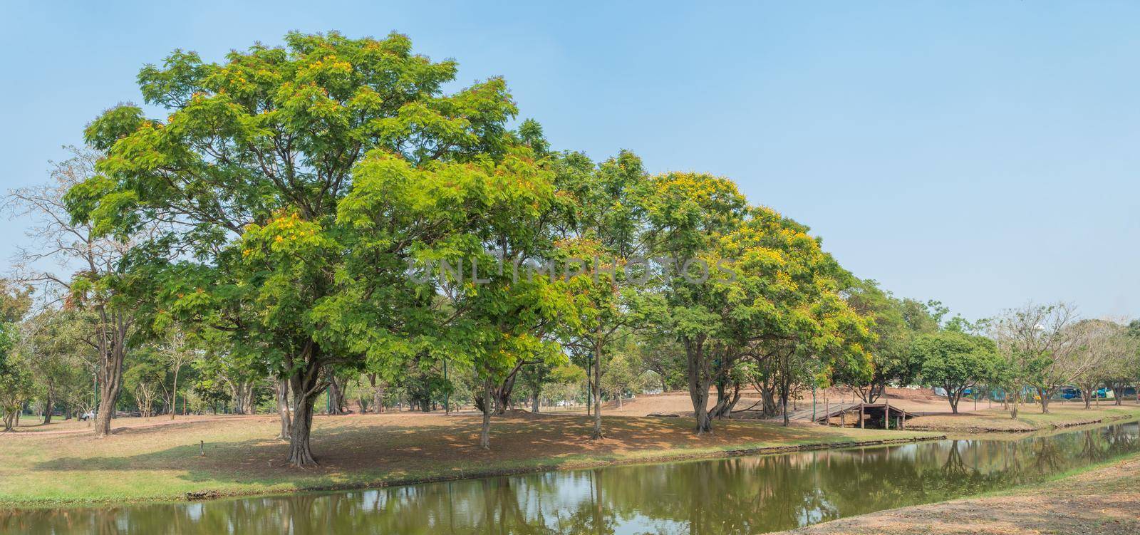 landscape gardener natural park environment, public use