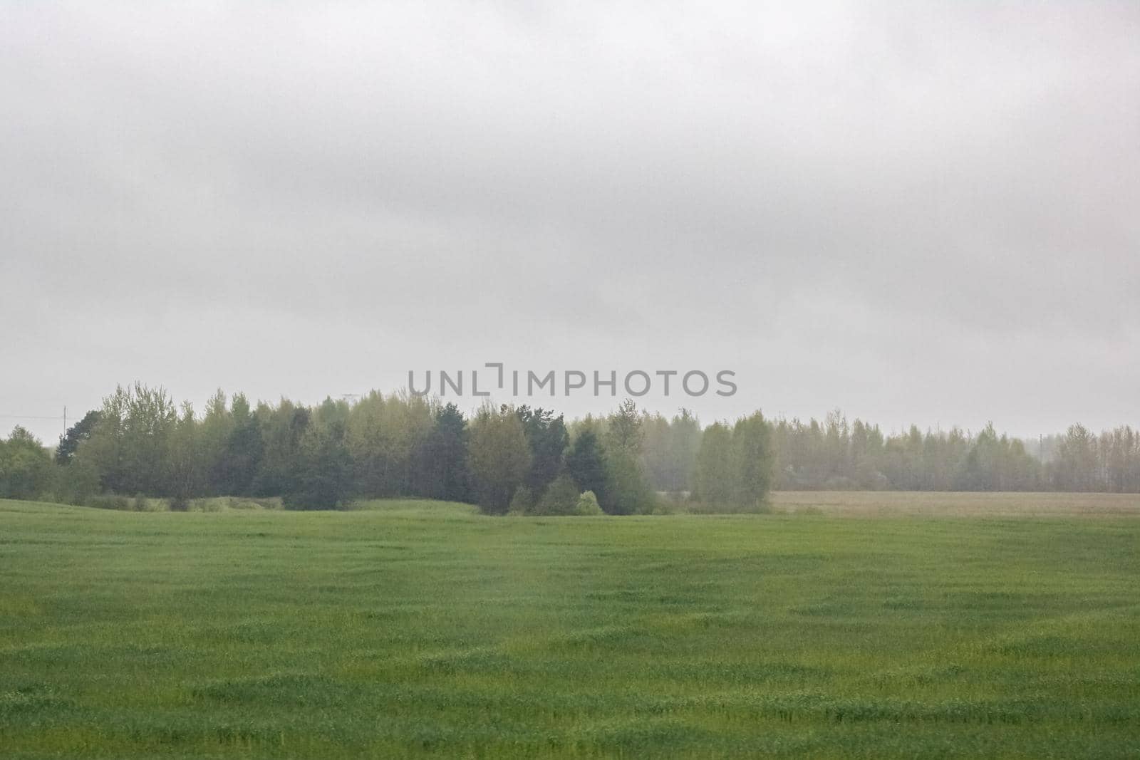 Autumn field landscape in the fog under cloudy sky, soft focus
