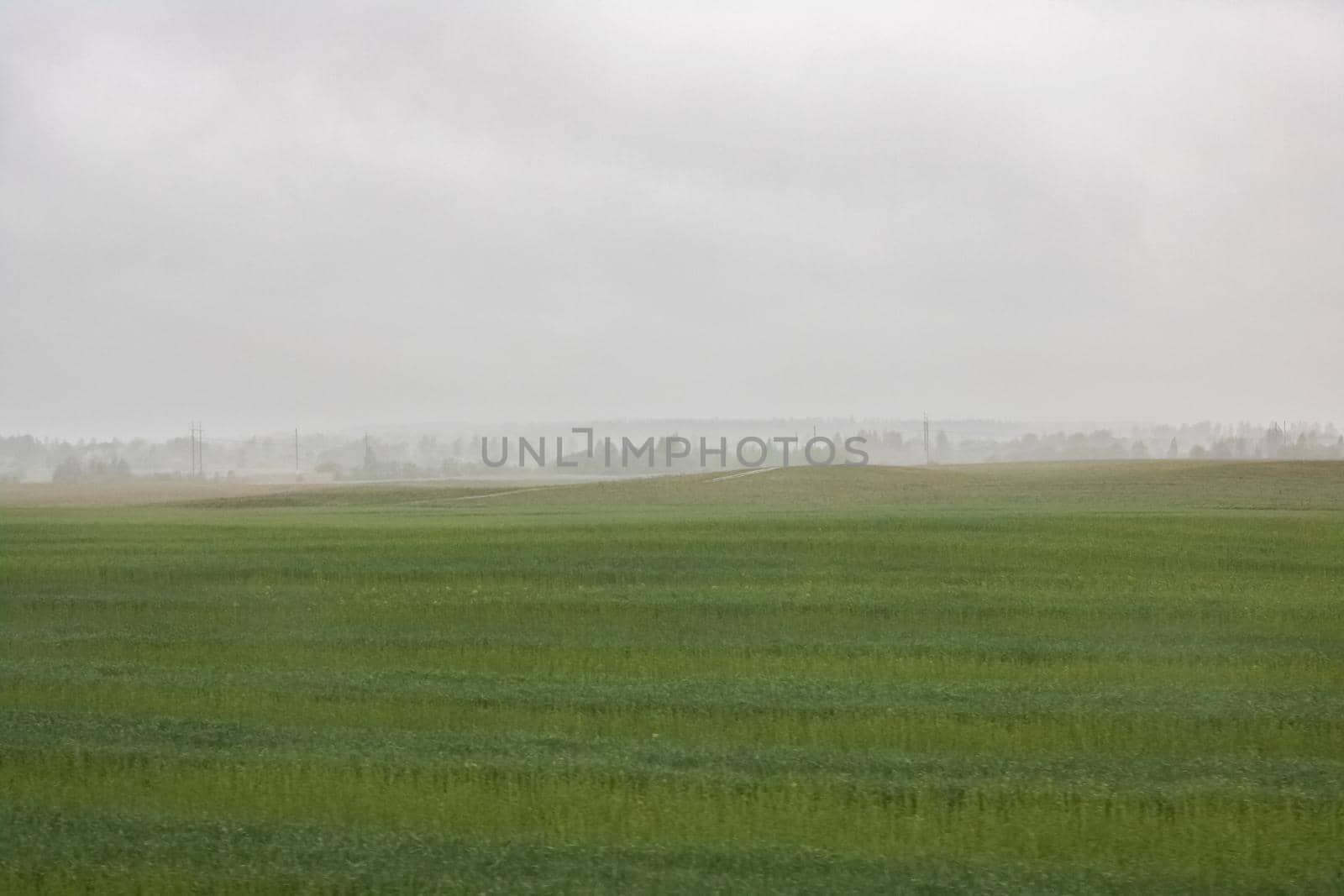 Autumn field landscape in the fog under cloudy sky, soft focus