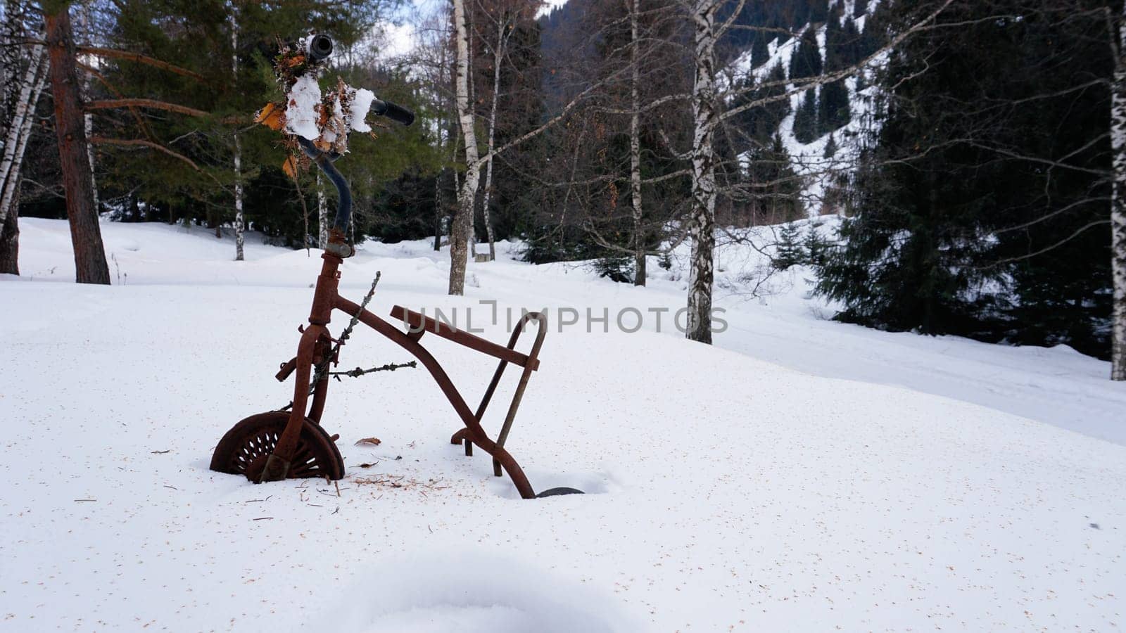 An old rusty tricycle in the winter forest by Passcal
