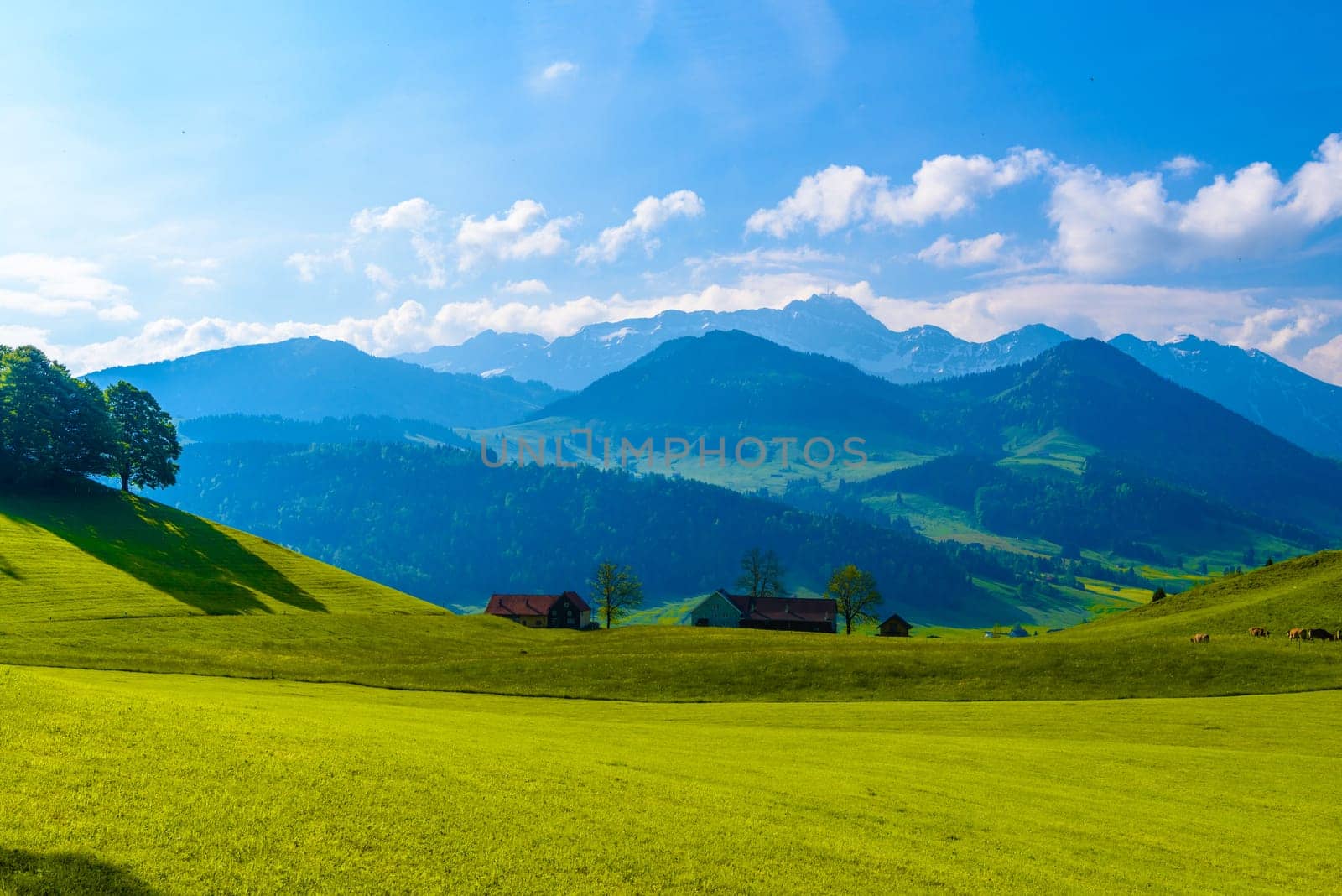 Green fields with blue sky, Schoenengrund, Hinterland, Appenzell Ausserrhoden Switzerland.