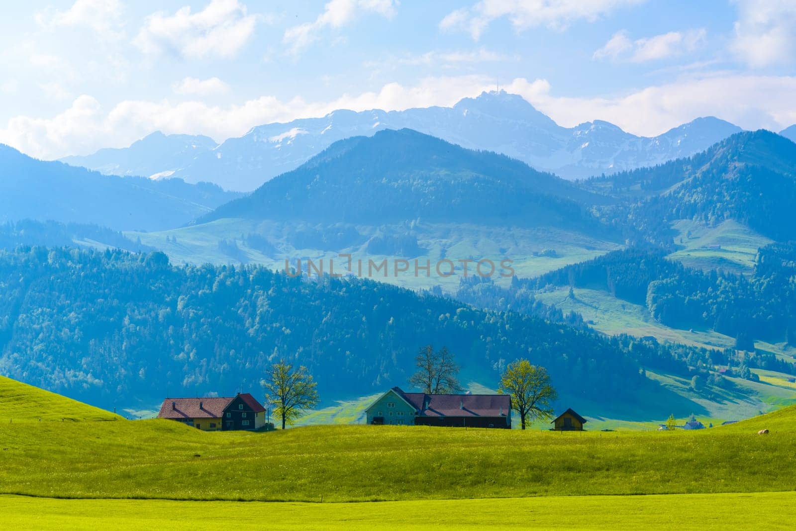 Green fields with blue sky, Schoenengrund, Hinterland, Appenzell Ausserrhoden Switzerland.