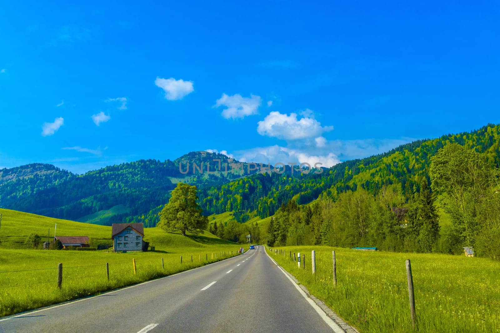 Road with green meadows and trees, Schoenengrund, Hinterland, Appenzell Ausserrhoden Switzerland.