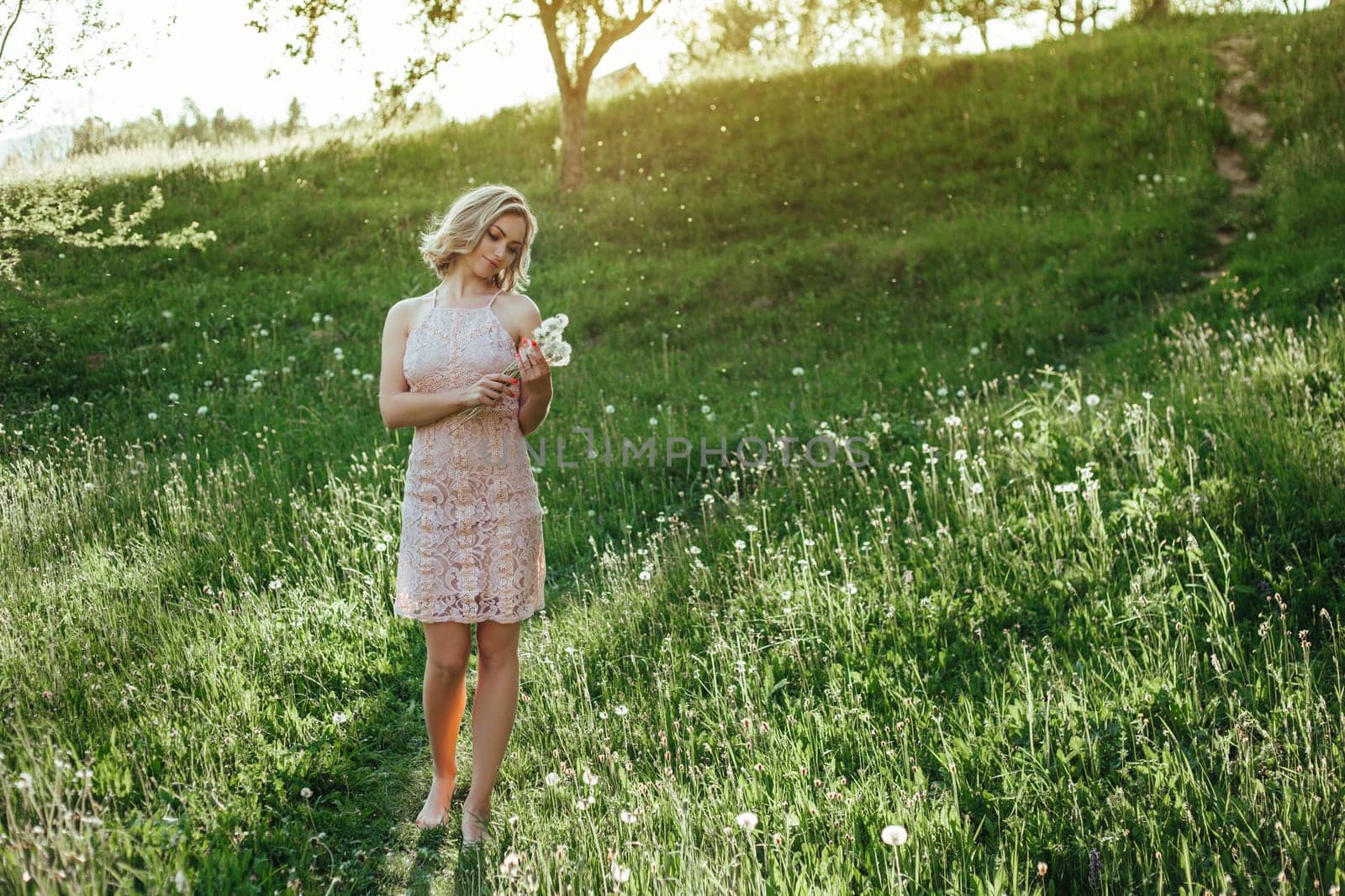 a woman at sunset in a field of dandelions in a pink dress . the concept is not allergic .