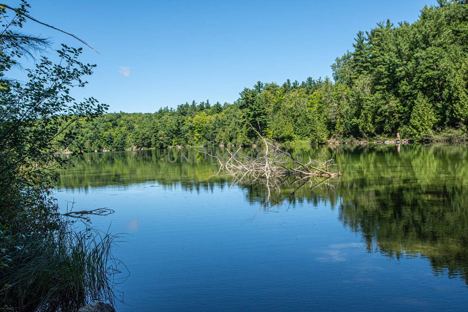 On the beaver lake by ben44