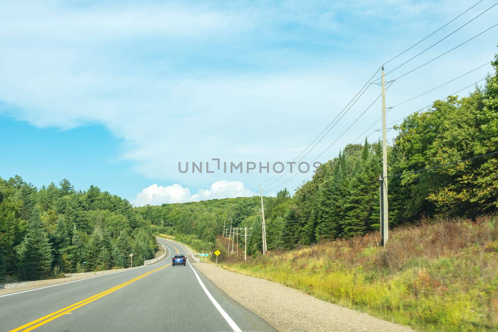 Canadian road passes along the green coniferous forests