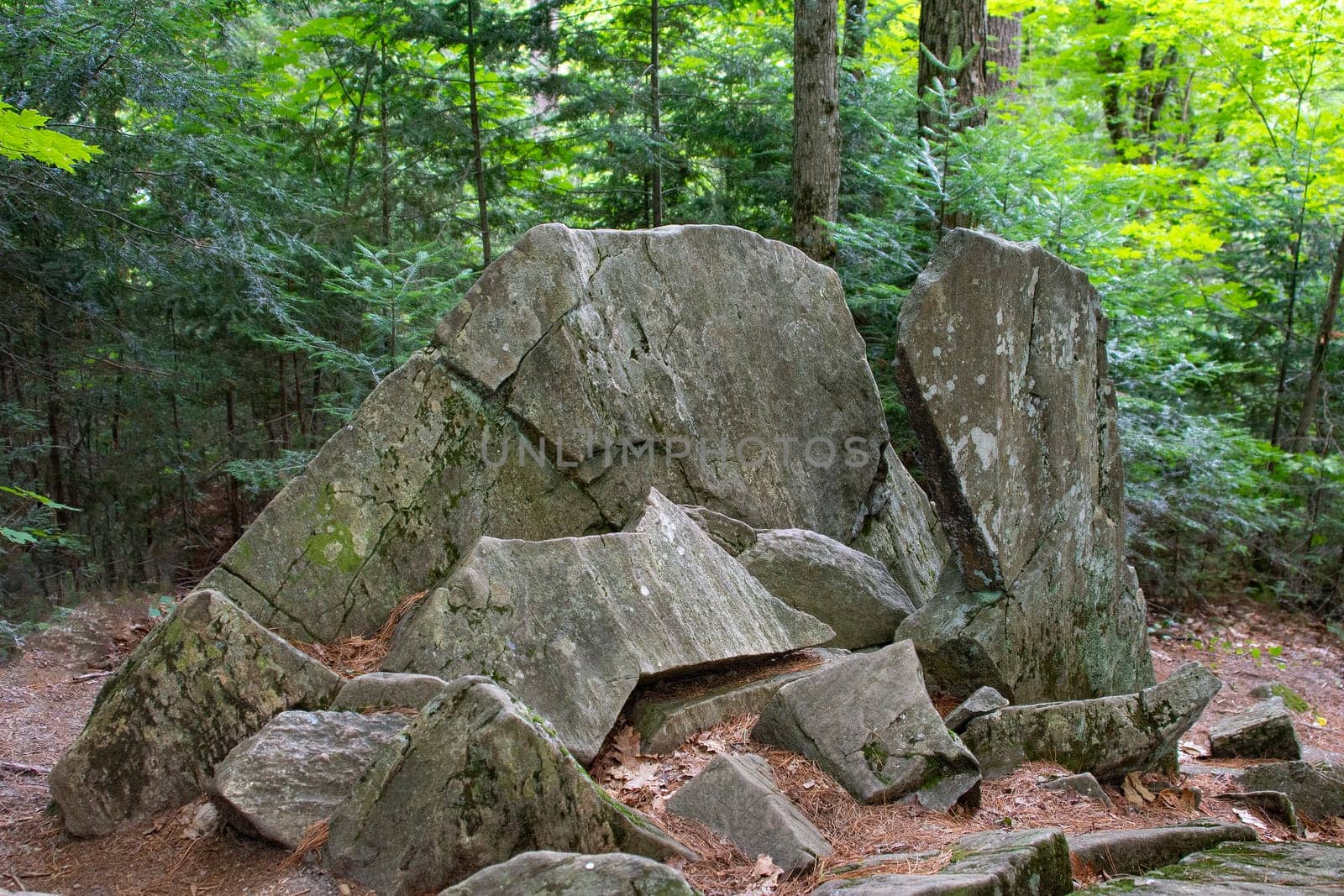 In the forest among the fir trees stands a large broken, under the influence of nature gray stone