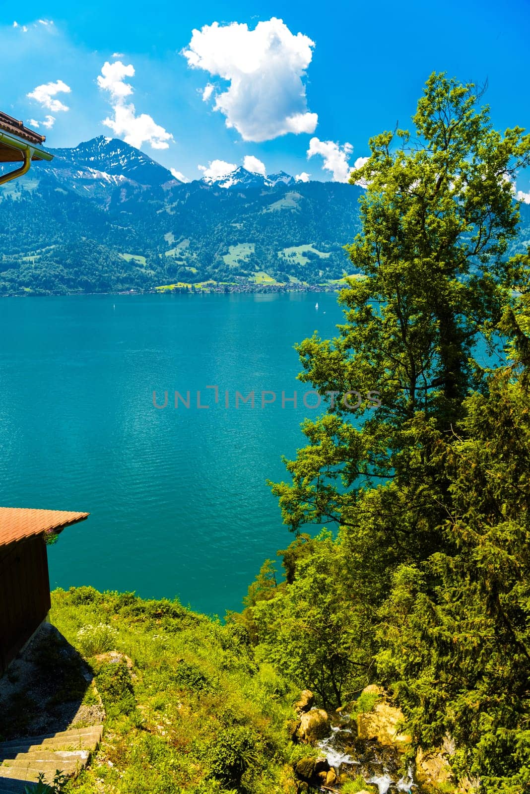 Lake Thun, trees and mountains, Thunersee Bern Switzerland.