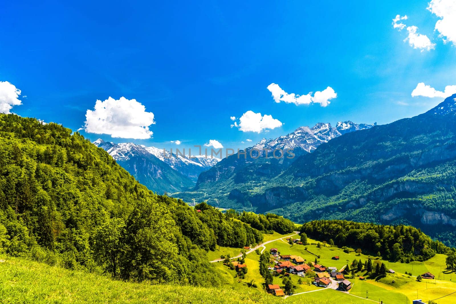 Mountains covered with forest, Brienz, Interlaken-Oberhasli, Bern Switzerland.