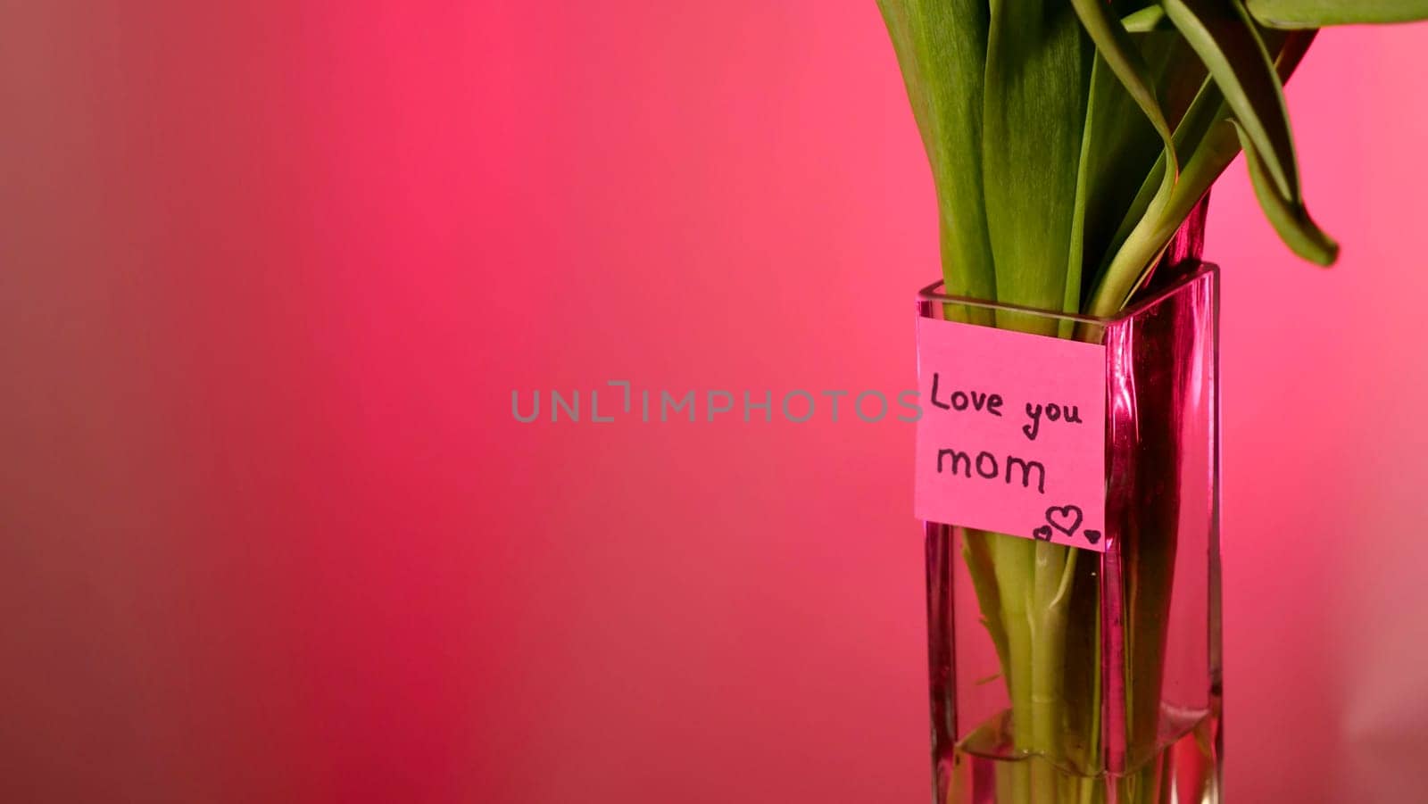 Spring tulip flowers on pink background , close-up with space for paste text. International Mother's Day. Sticker I love you mom, copy space , neon magenta light