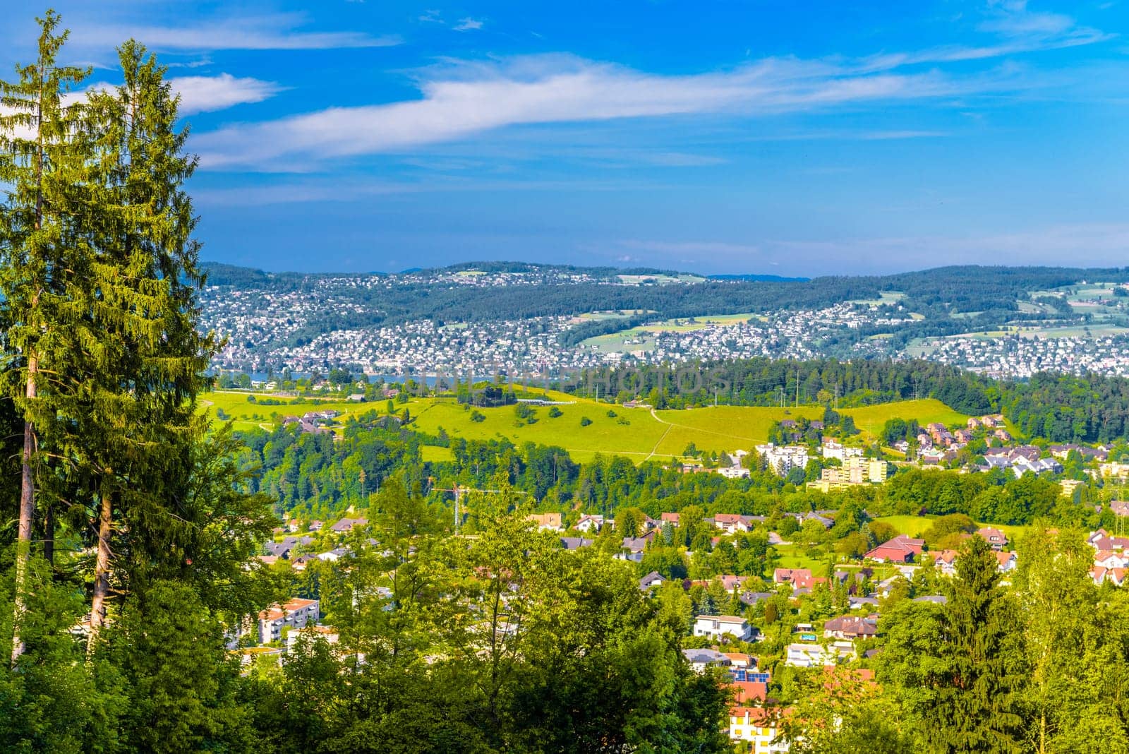 Houses and forests with meadows in Langnau am Albis, Horgen, Zurich, Switzerland.