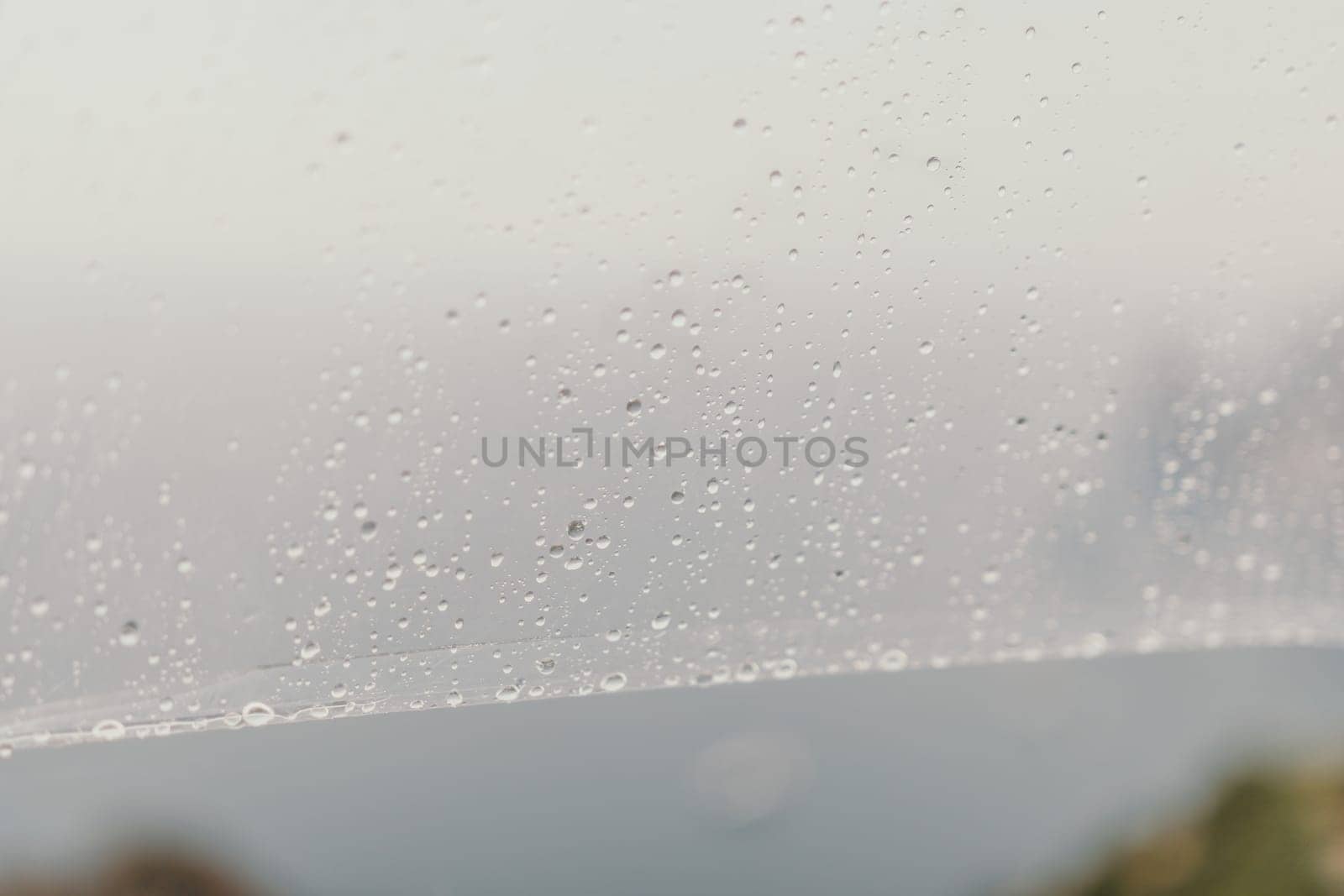 Woman rain umbrella. Happy woman portrait wearing a raincoat with transparent umbrella outdoors on rainy day in park near sea. Girl on the nature on rainy overcast day. by panophotograph