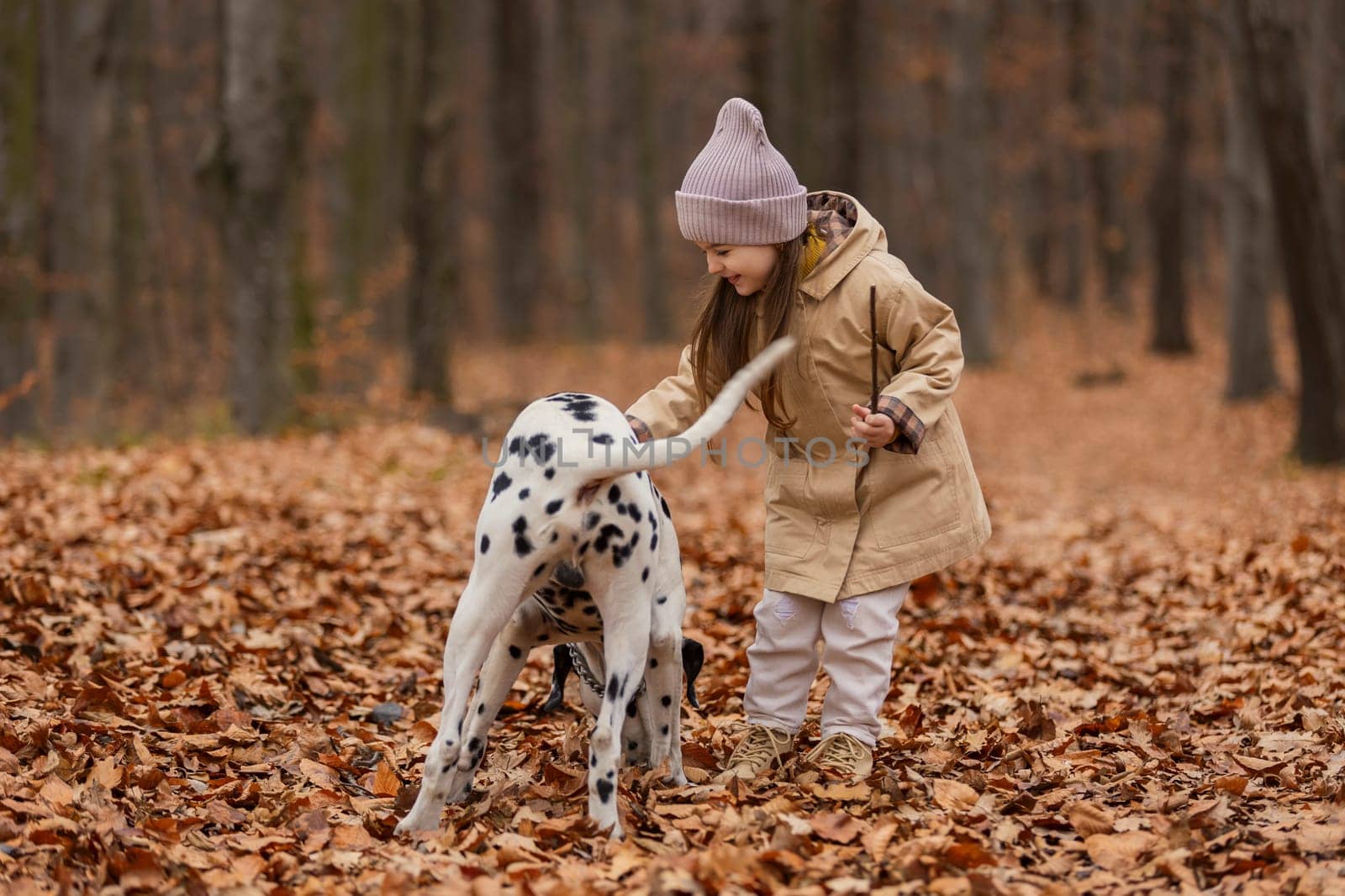 girl with a Dalmatian dog in the forest by zokov