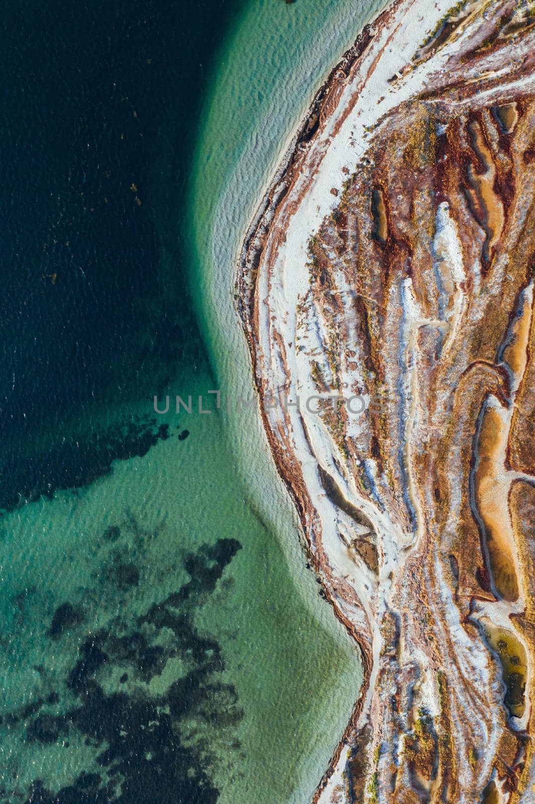 Plants and trees on the surface. Aerial view of majestic landscapes of Jarilgach island in Ukraine.