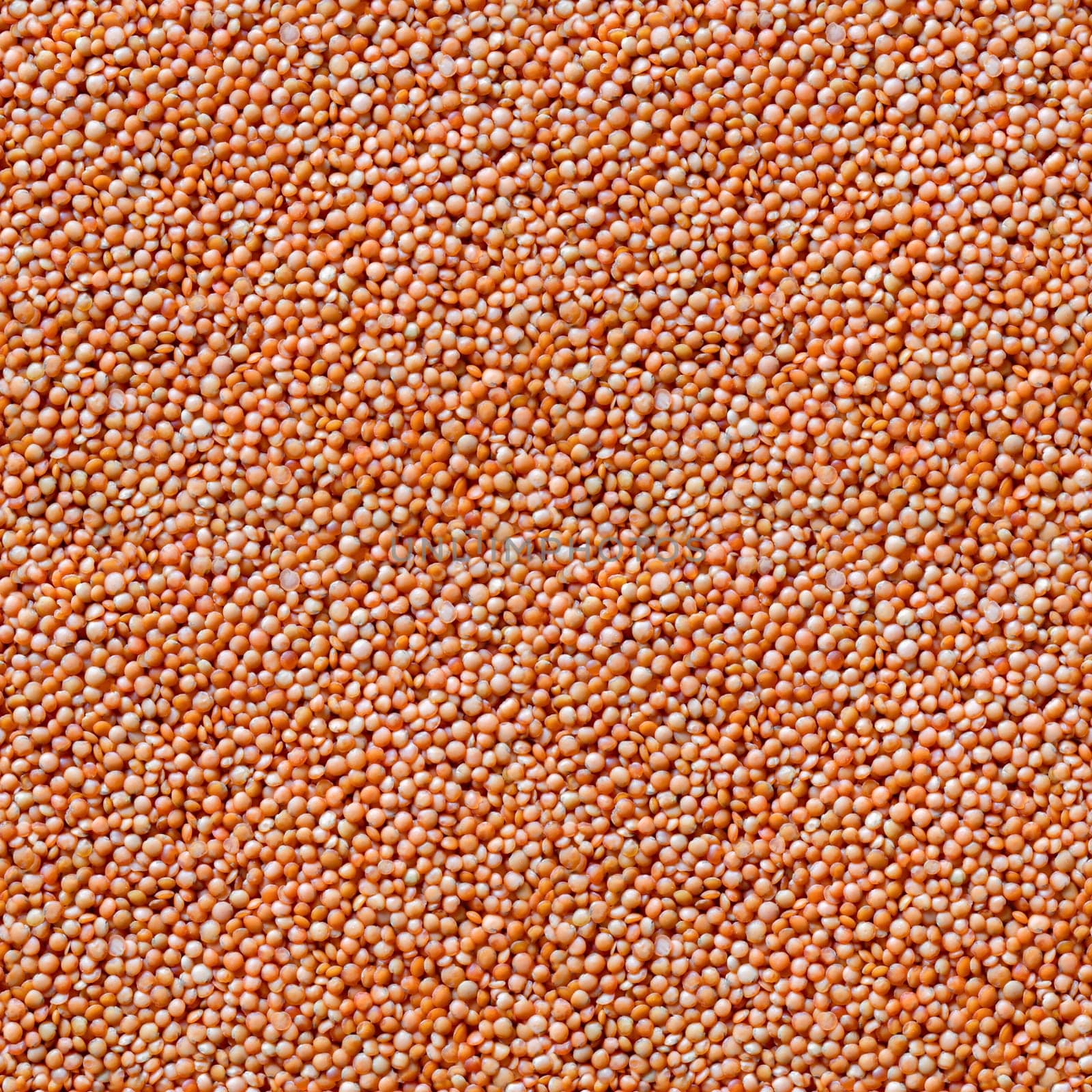 Seamless texture background of orange lentil groats, top view