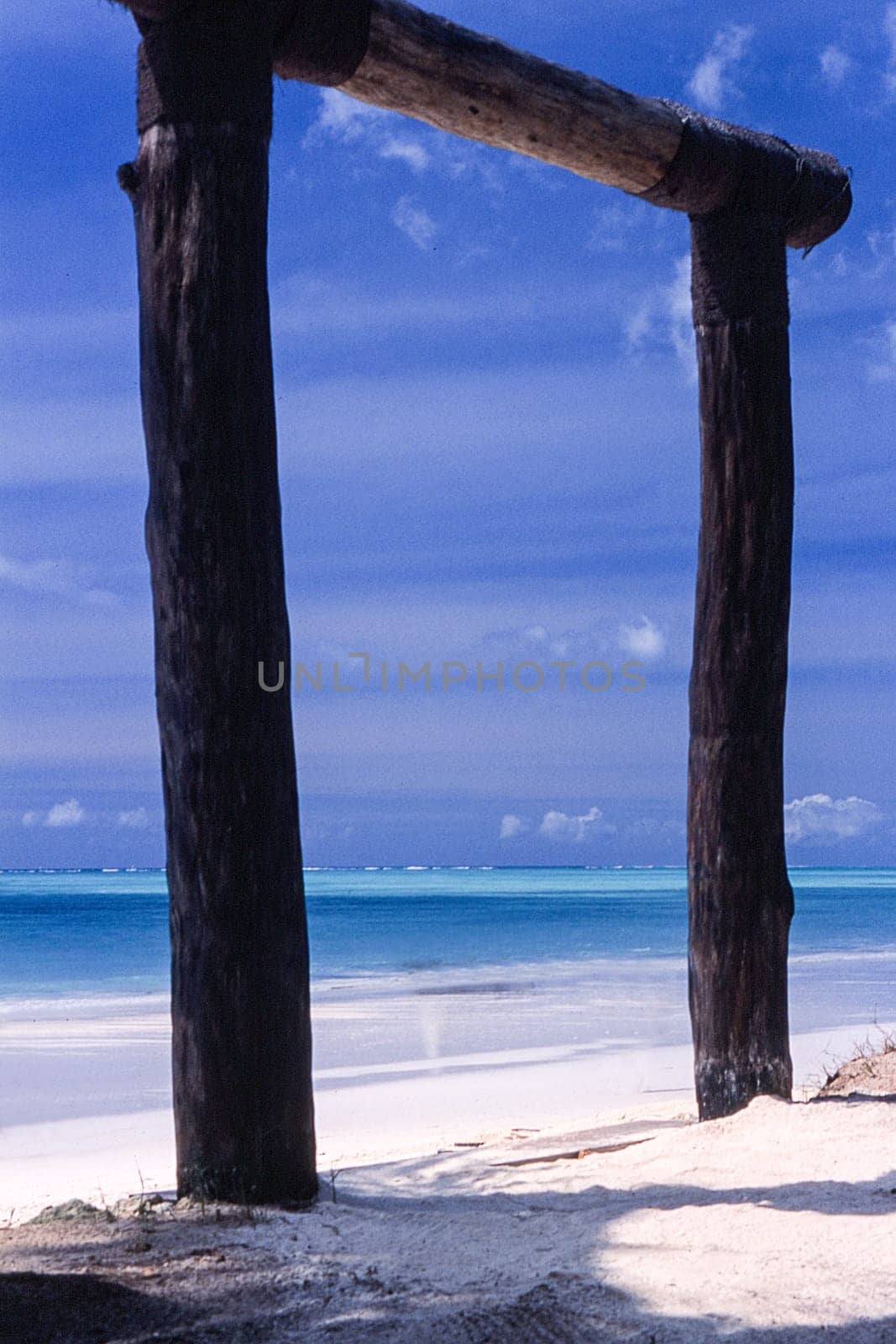 Kiwengwa beach, Zanzibar, Tanzania, Africa