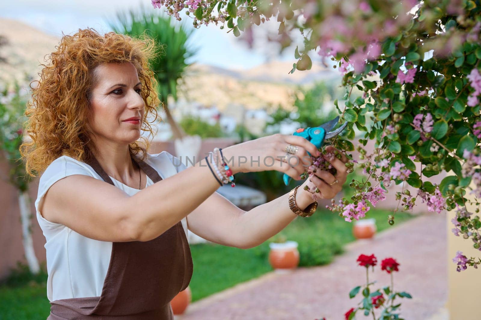 A woman in an apron with pruner tending flowering bush in garden. Middle-aged female, summer sunny garden, gardening, nature, people concept
