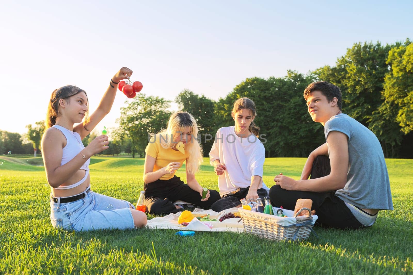 Teens having fun on picnic in park on lawn. Group of teenagers friends resting eating talking on sunny summer day on green grass. Adolescence, friendship, communication, vacations, fun, youth concept