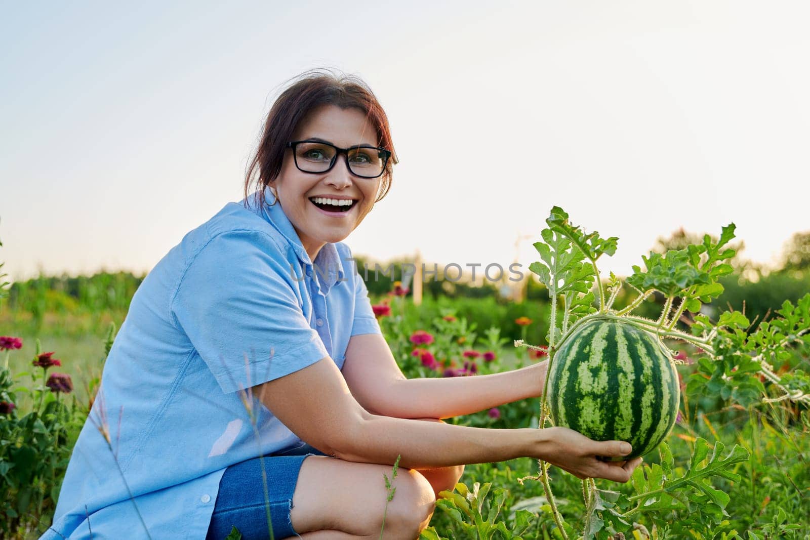 Woman gardener with watermelon berry in her hands, on watermelon garden. Happy female rejoicing in harvest, natural organic food, gardening, agriculture, summer autumn season, hobby, farming concept