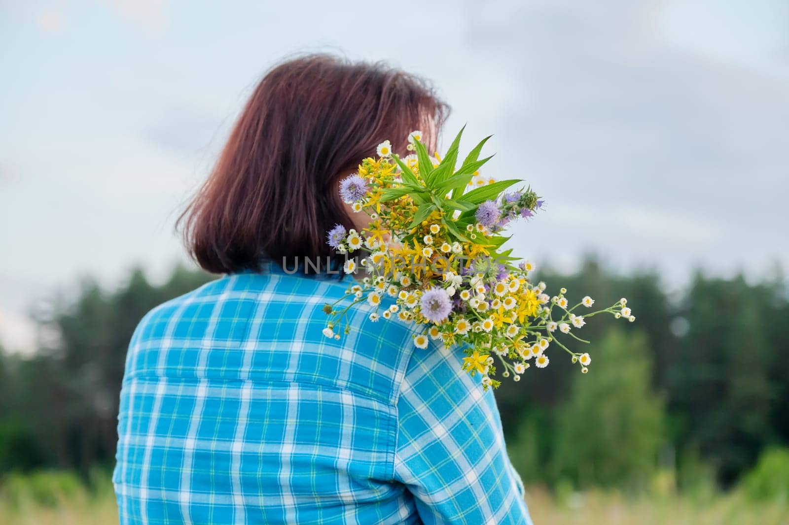 Summer nature, wild meadow, back view of a woman with bouquets of wildflowers. Summertime, beauty, naturalness, walks and hikes, people concept