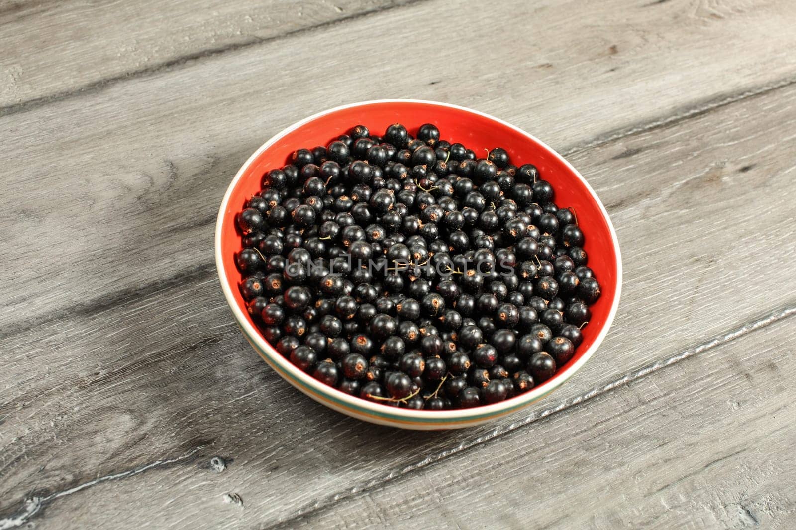 Ceramic bowl, red inside, with freshly picked blackcurrants (Ribes nigrum) on gray wood desk.